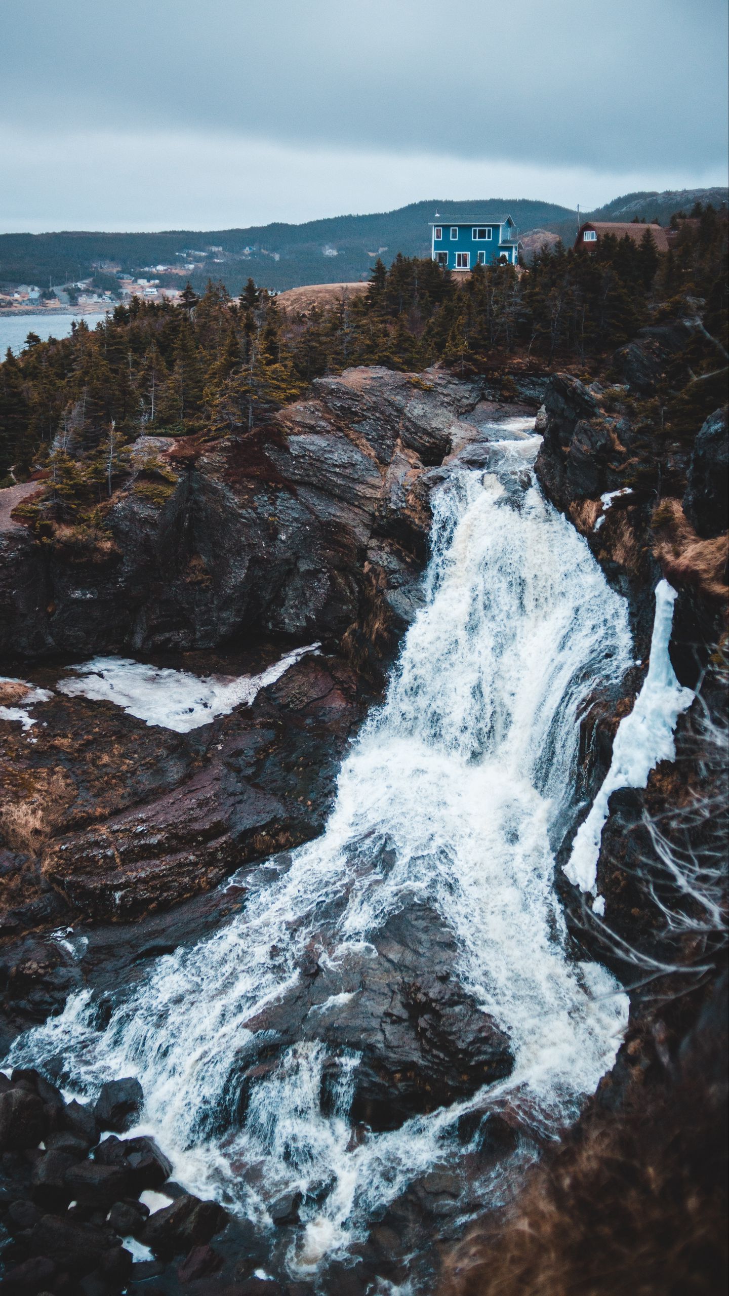 Download wallpaper 1440x2560 river, stream, rocky shore, trees, foam, fast, noisy qhd samsung galaxy s6, s7, edge, note, lg g4 HD background