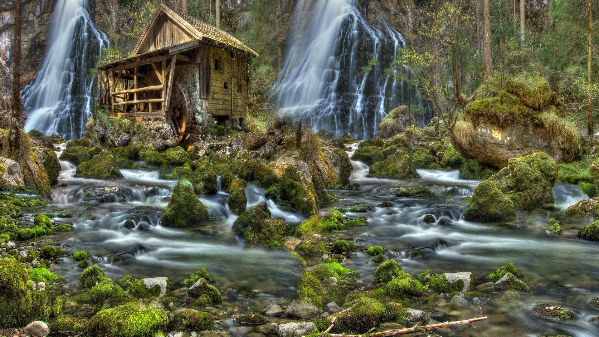 Rivers Tag wallpaper: Murky Trees Jungle Foggy Swamp Rivers. Waterfall, Waterfall wallpaper, Forest waterfall