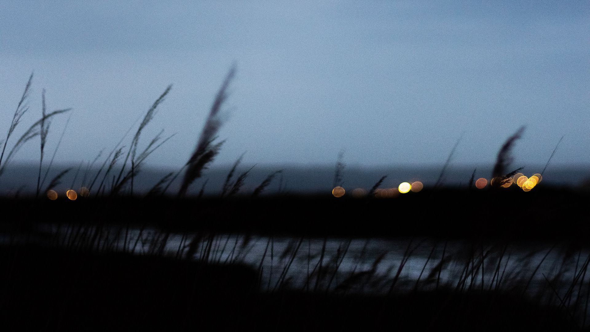 Download wallpaper 1920x1080 twilight, outlines, blur, grass, bokeh, dark full hd, hdtv, fhd, 1080p HD background