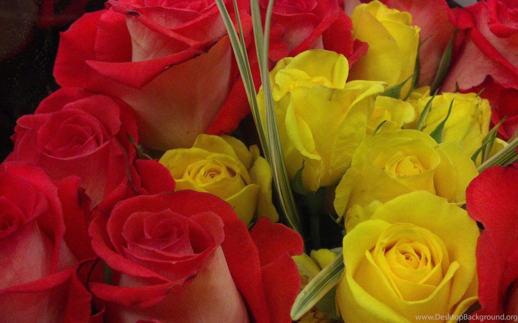 Red And Yellow Rose Bouquet Wallpaper, Rose Flower Image, Rose. Desktop Background