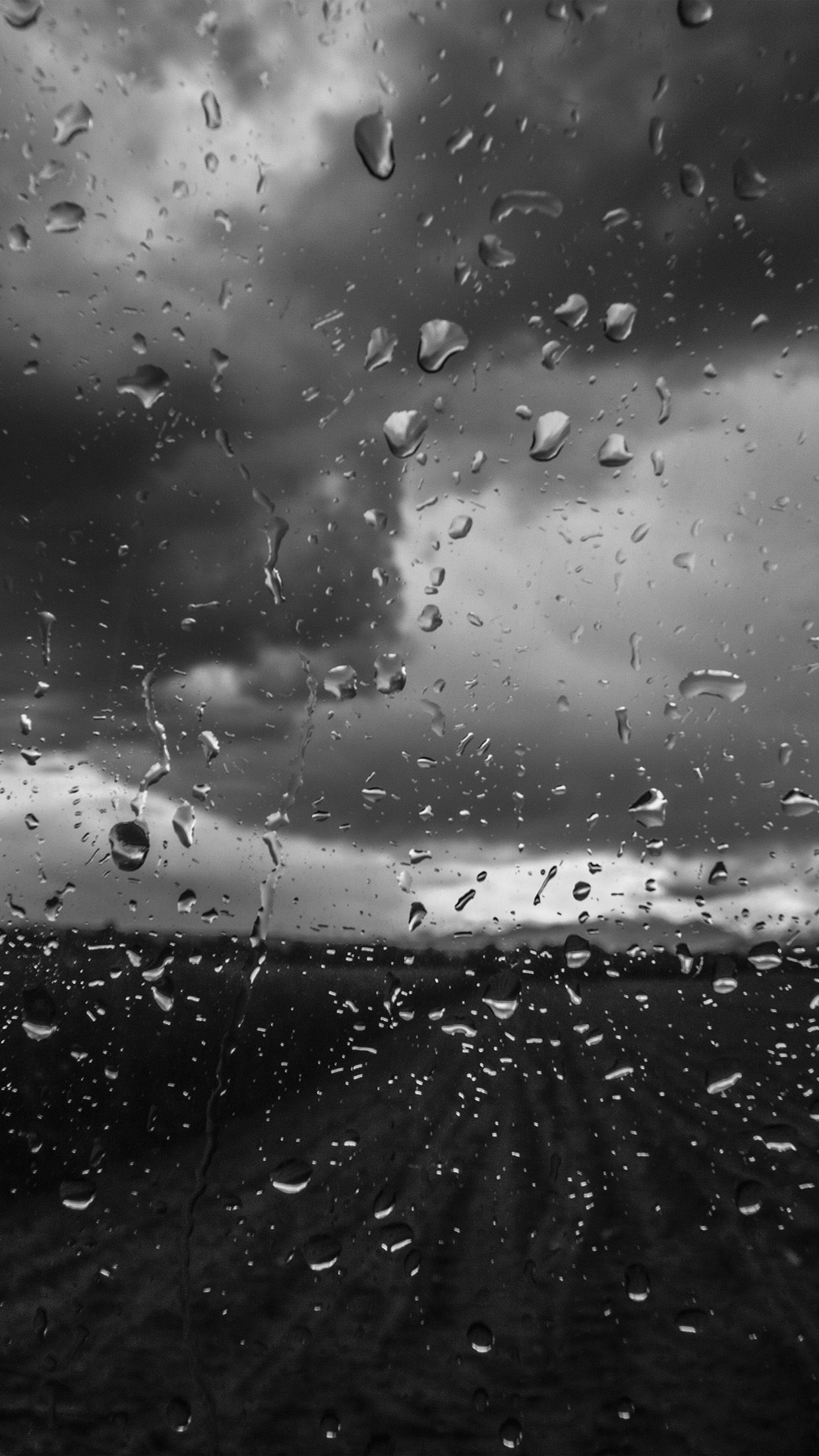 rainy window nature water drop road dark bw