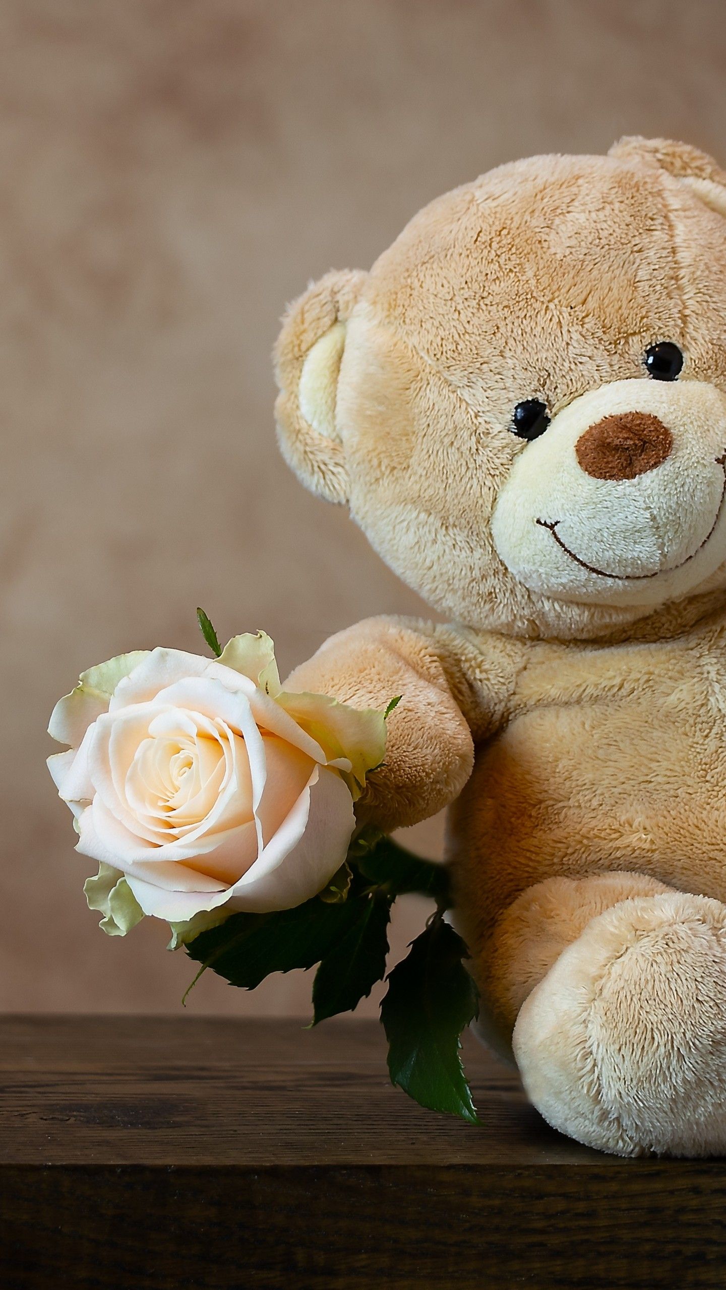 Teddy bear Wallpaper 4K, Rose, Cute toy