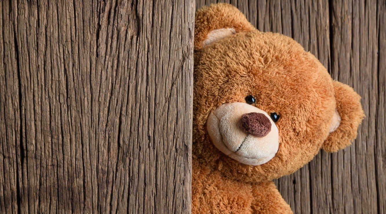 teddy bear pic, teddy image, teddy bear pics, teddy bear photo