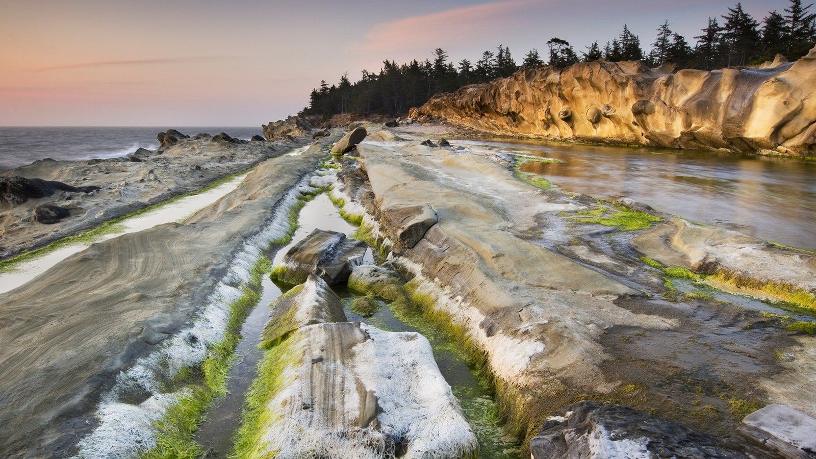 The Oregon Coast: The U.S. Road Trip as Beautiful as Highway 1. Condé Nast Traveler