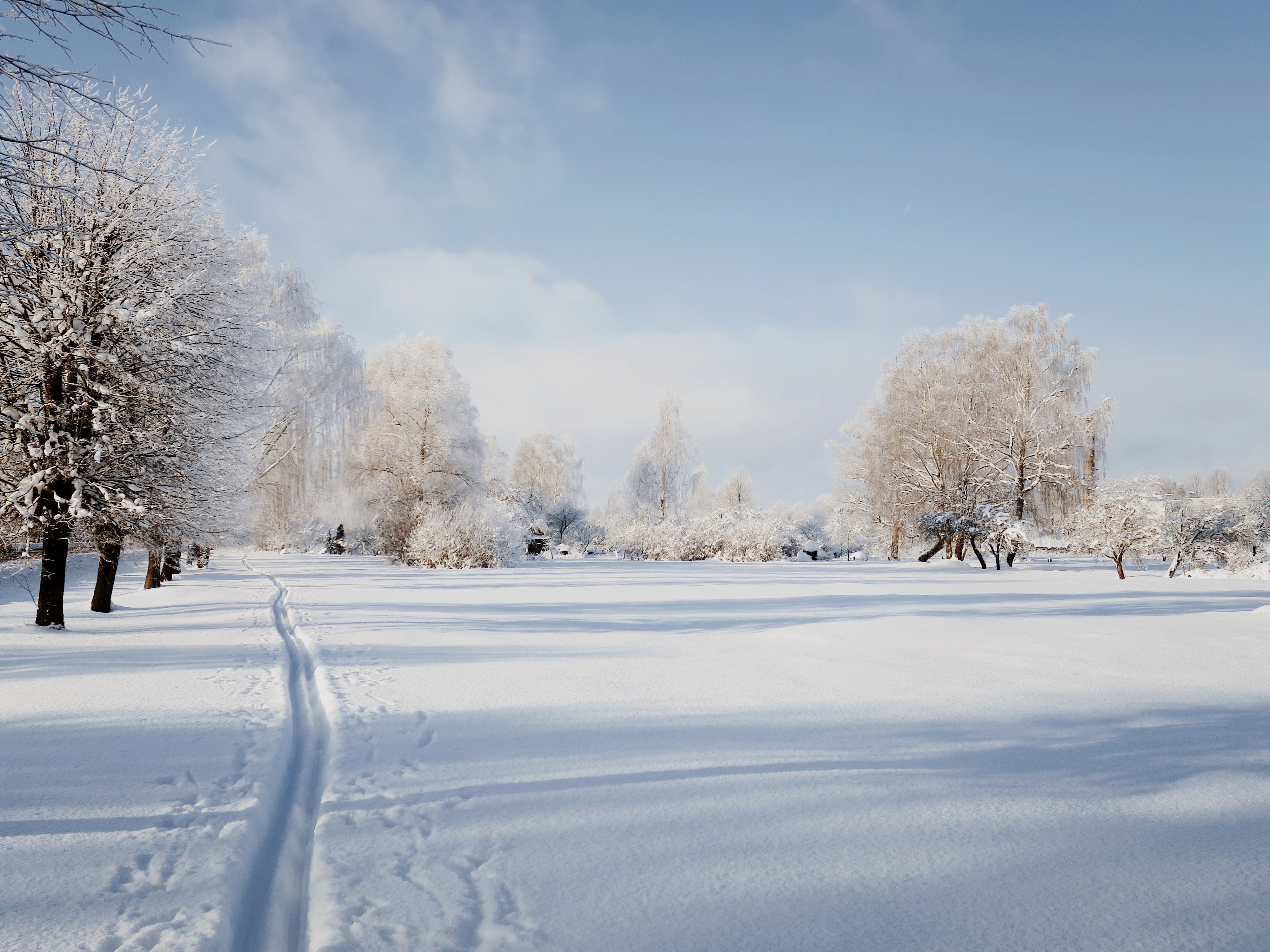 Ski tracks on snow on sunny winter day · Free