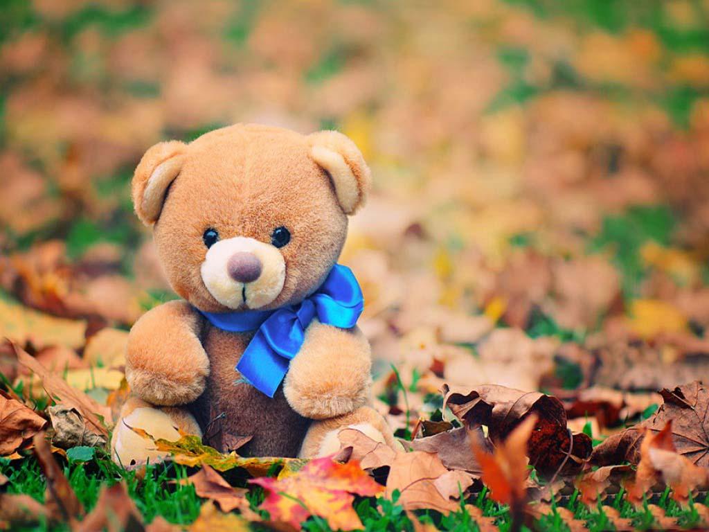 Lovely And Beautiful Teddy Bear Wallpaper