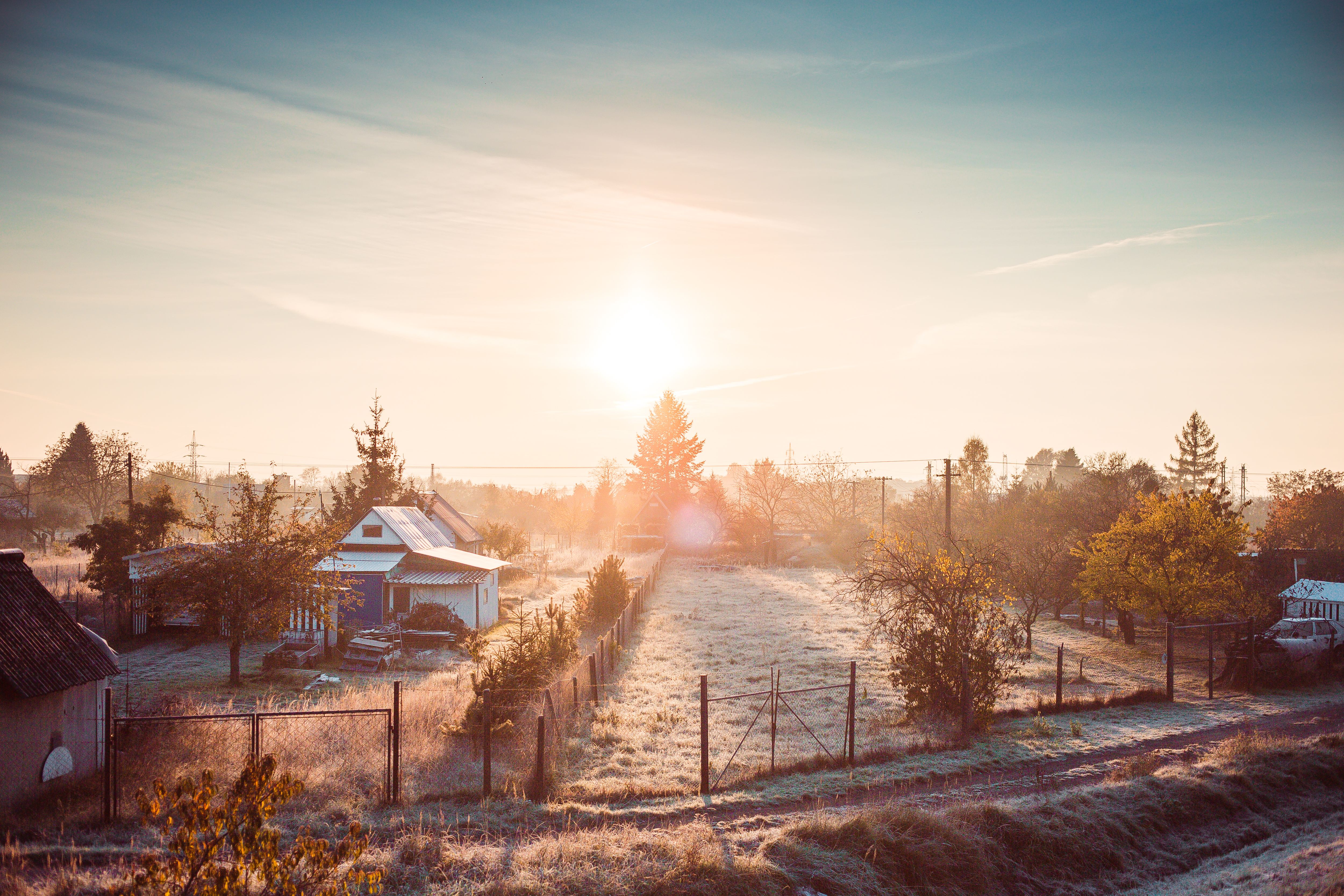 Cold Winter Morning over Gardening Colony Free