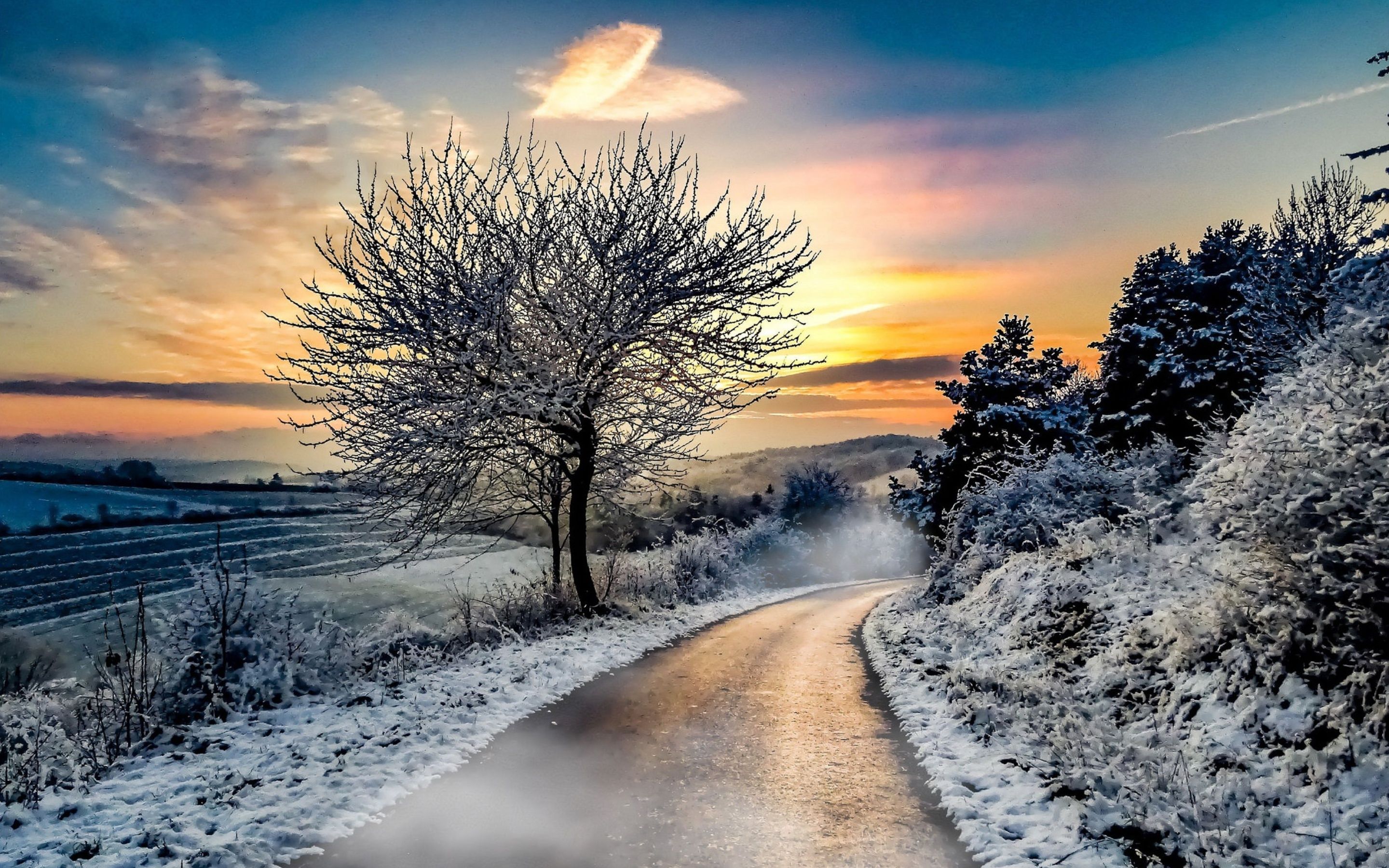Winter Road Snow Macbook Pro Retina HD 4k Wallpaper, Image, Background, Photo and Picture