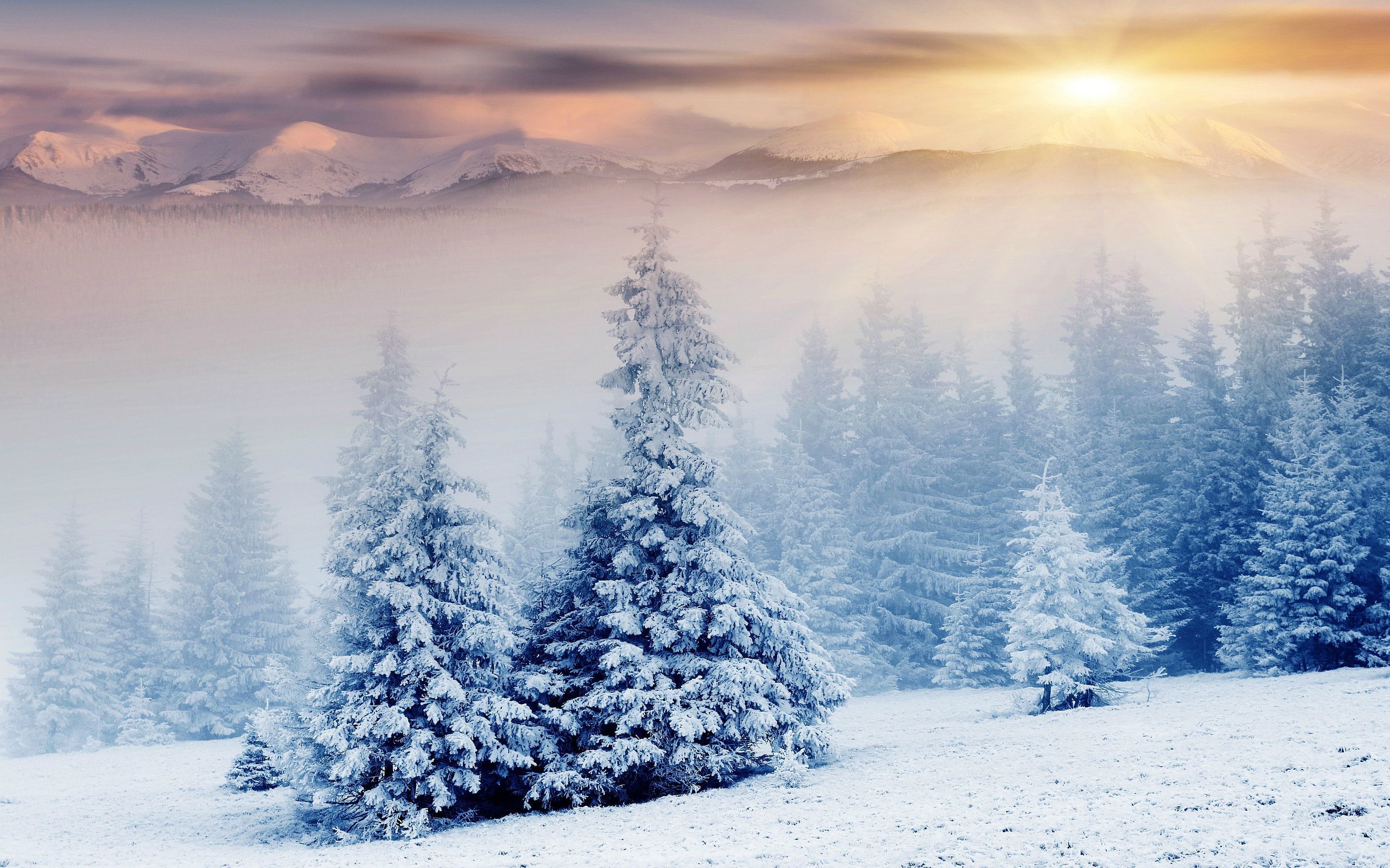 Winter Wallpaper 069 - [2880x1800]