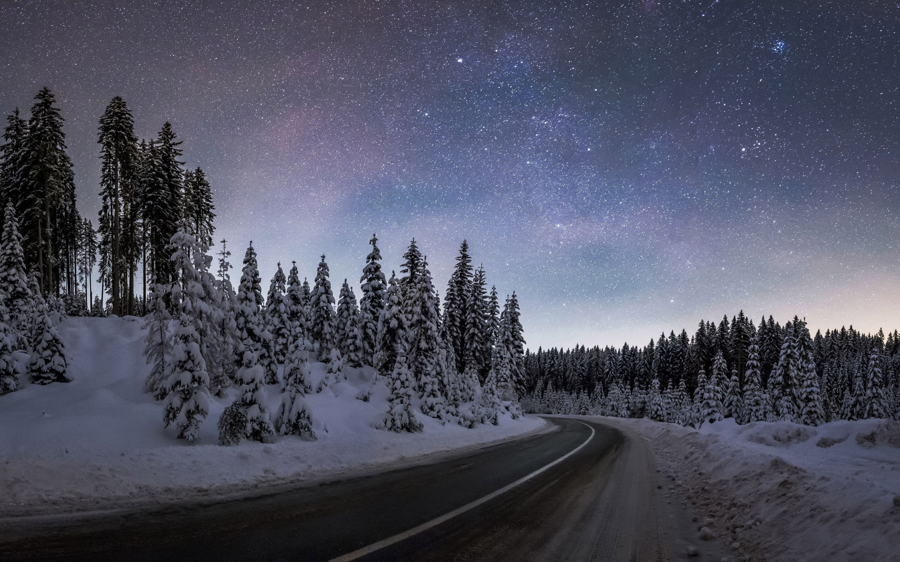 Download wallpaper: Winter night at Pokljuka forest 2880x1800