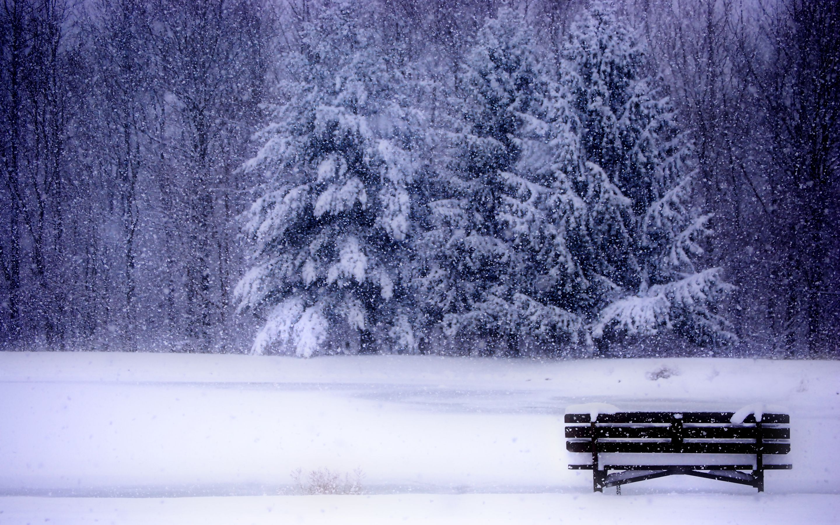 Photography Winter Wallpaper:2880x1800