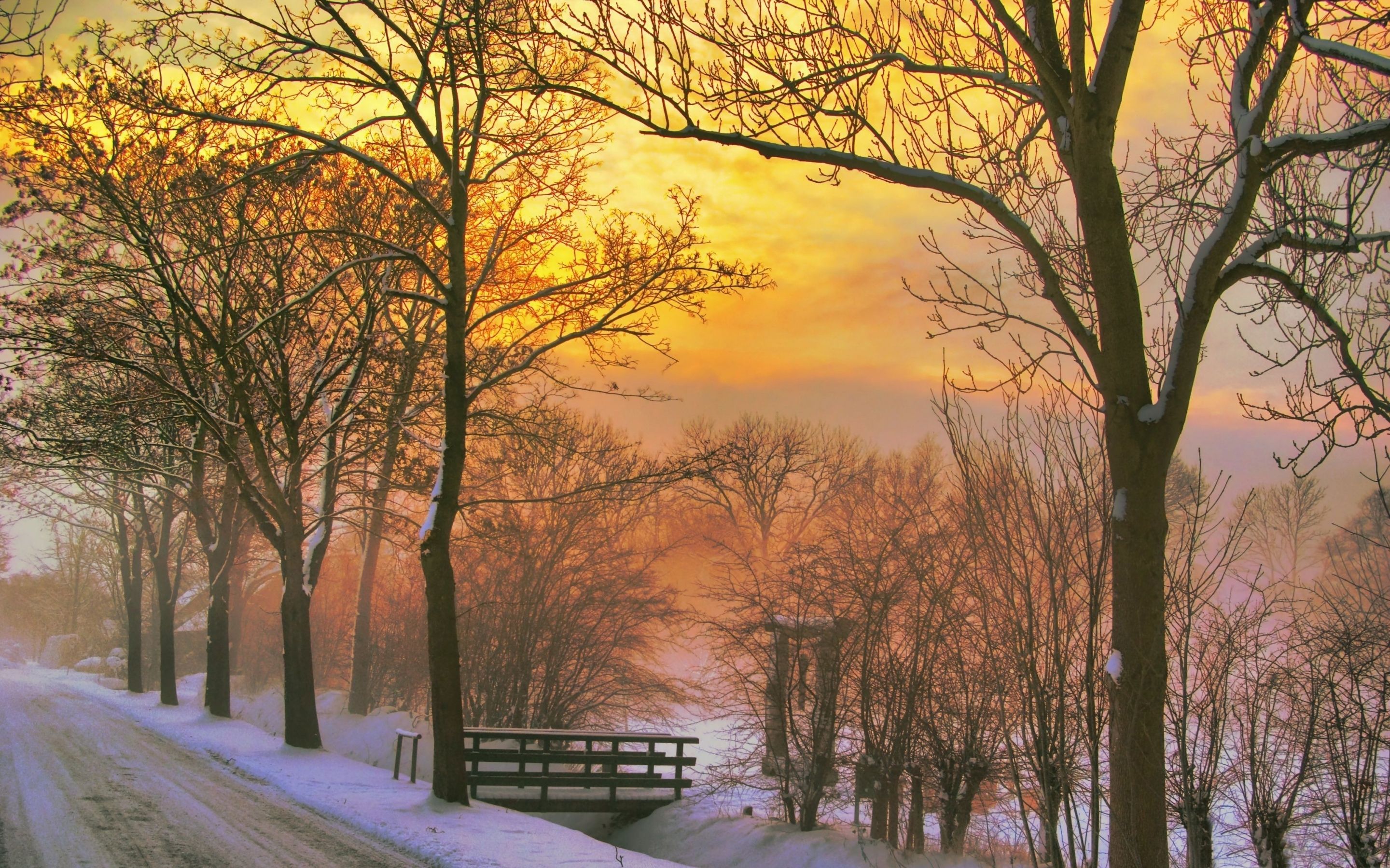 Golden winter sunset MacBook Air Wallpaper Download