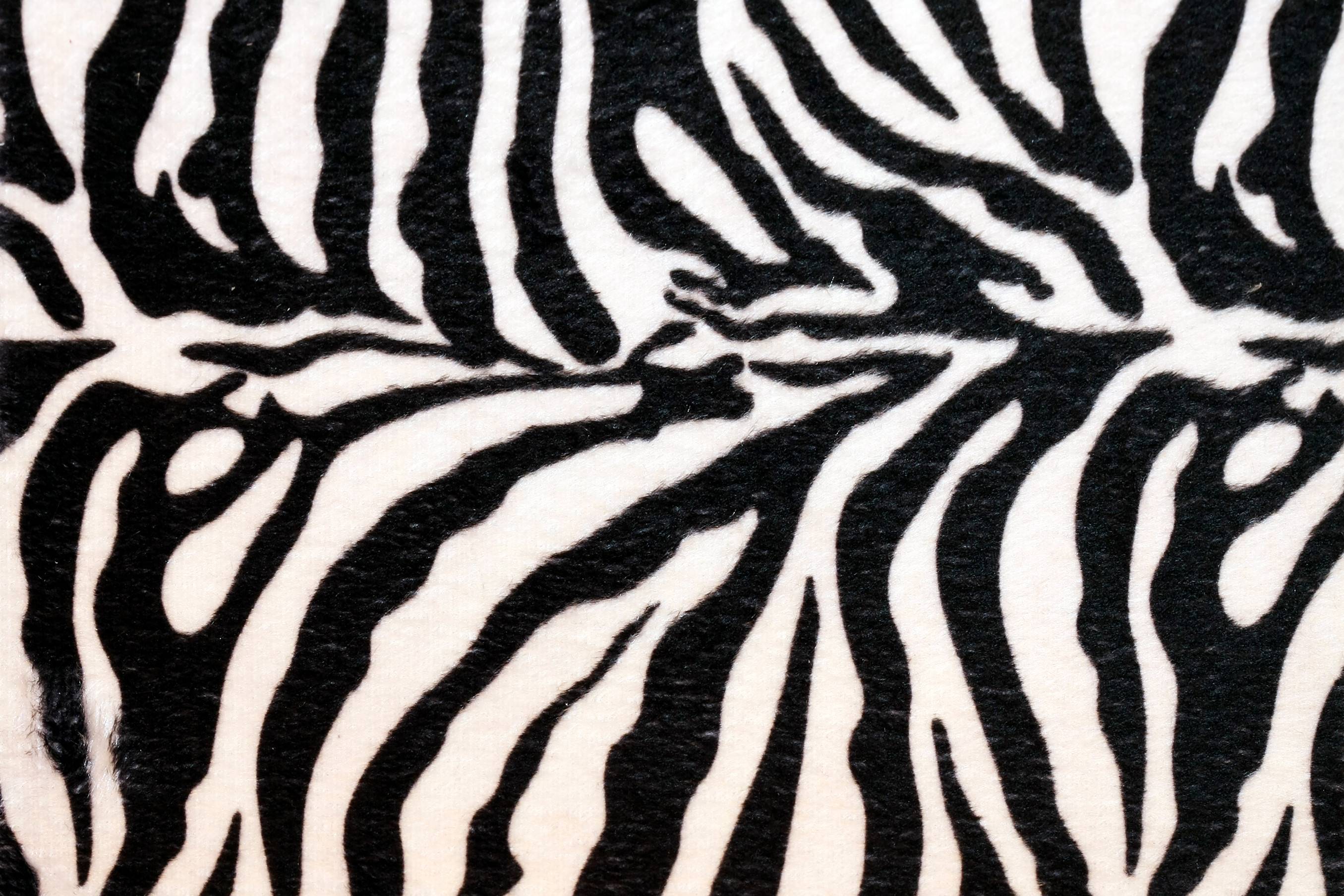Zebra Print Wallpaper Free Zebra Print Background