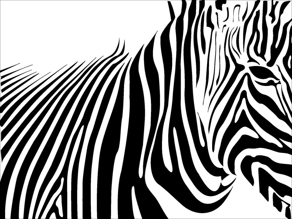 Zebra Print Wallpaper 2746 1024x768 px. Zebra print wallpaper, Zebra print background, Zebra