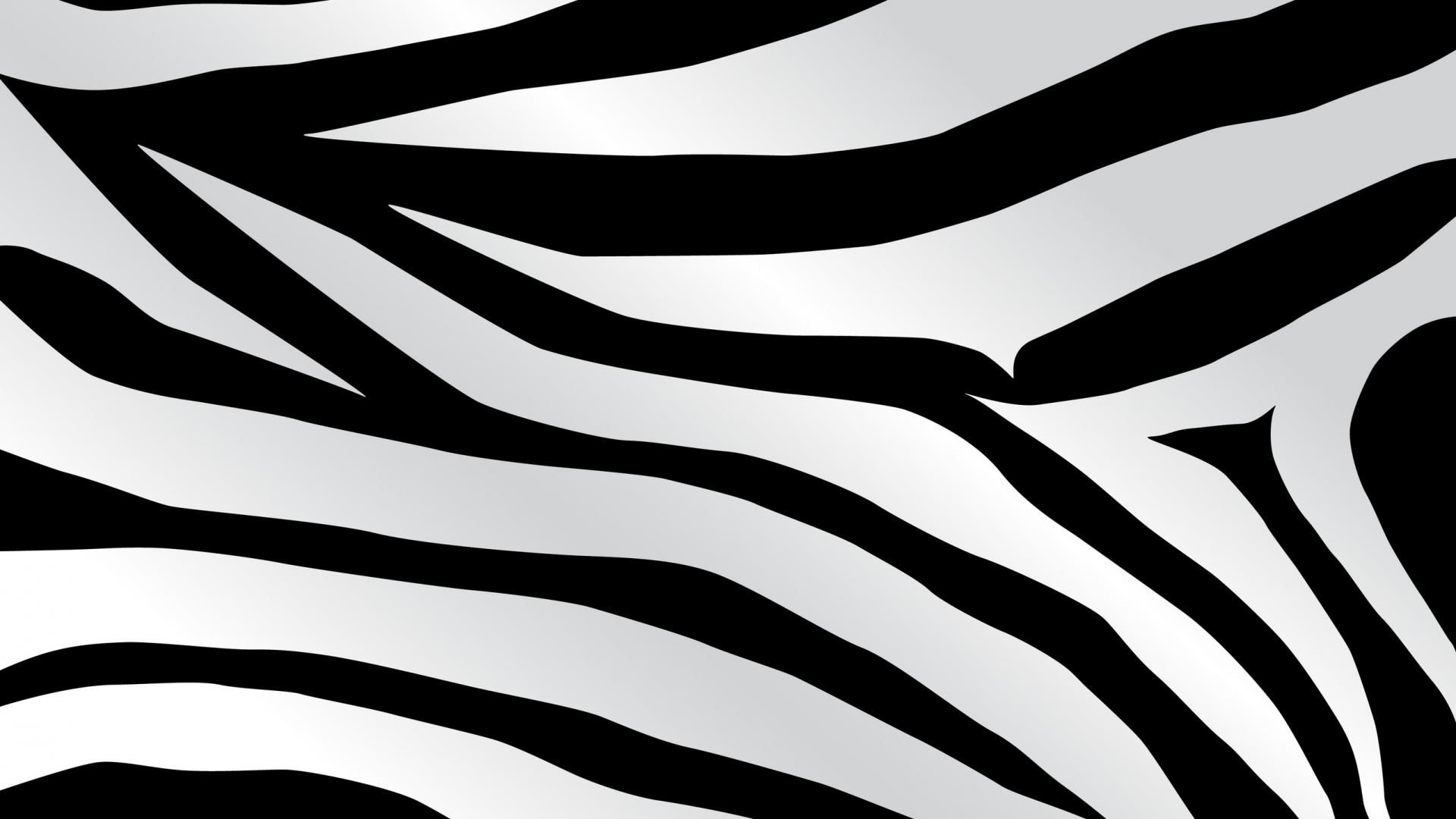 Zebra Pattern Wallpapers - Wallpaper Cave