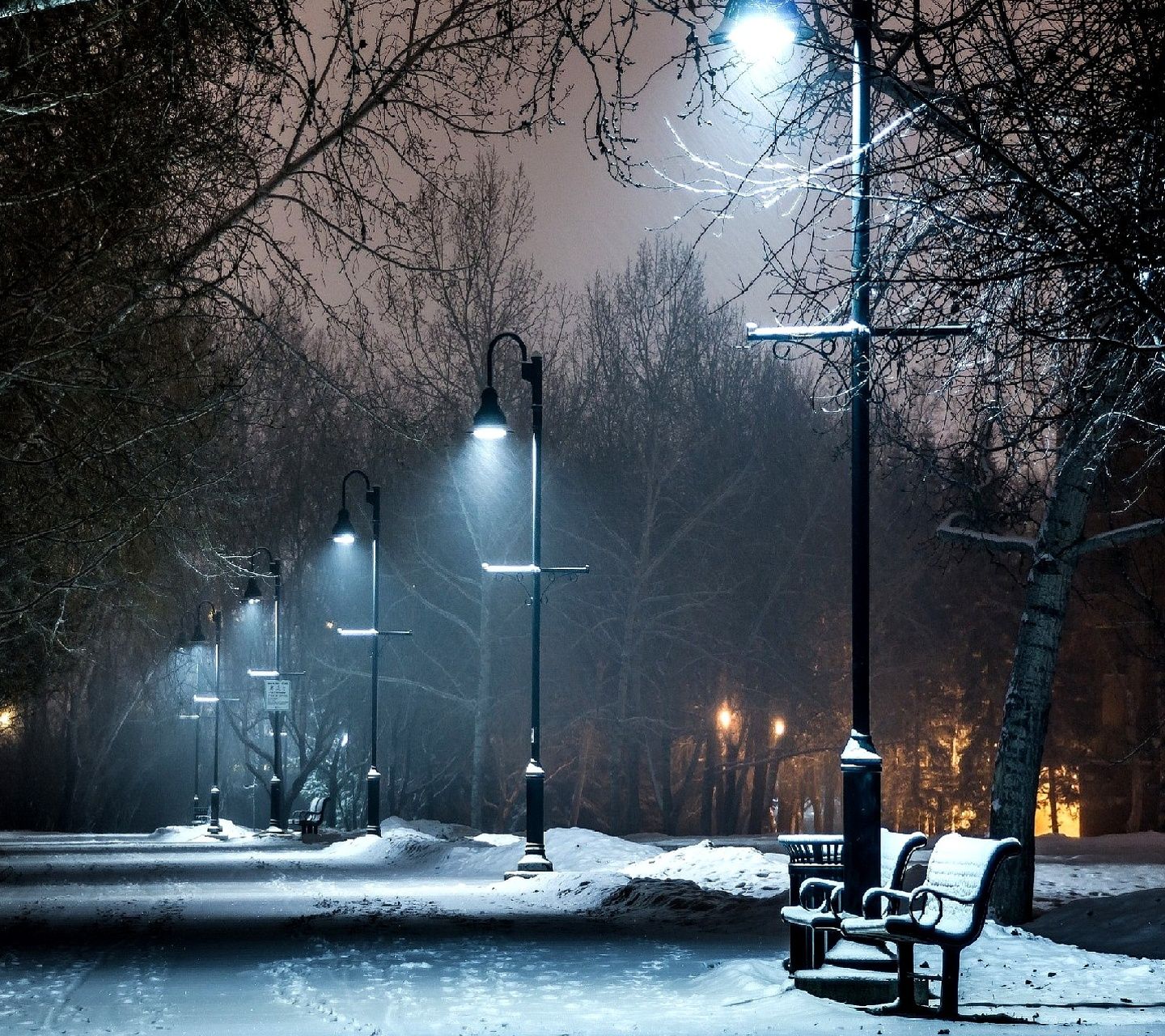 Winter nature nights snow fall alone street. SidRehmani. Sid Rehmani. Land Of HD Wallpaper