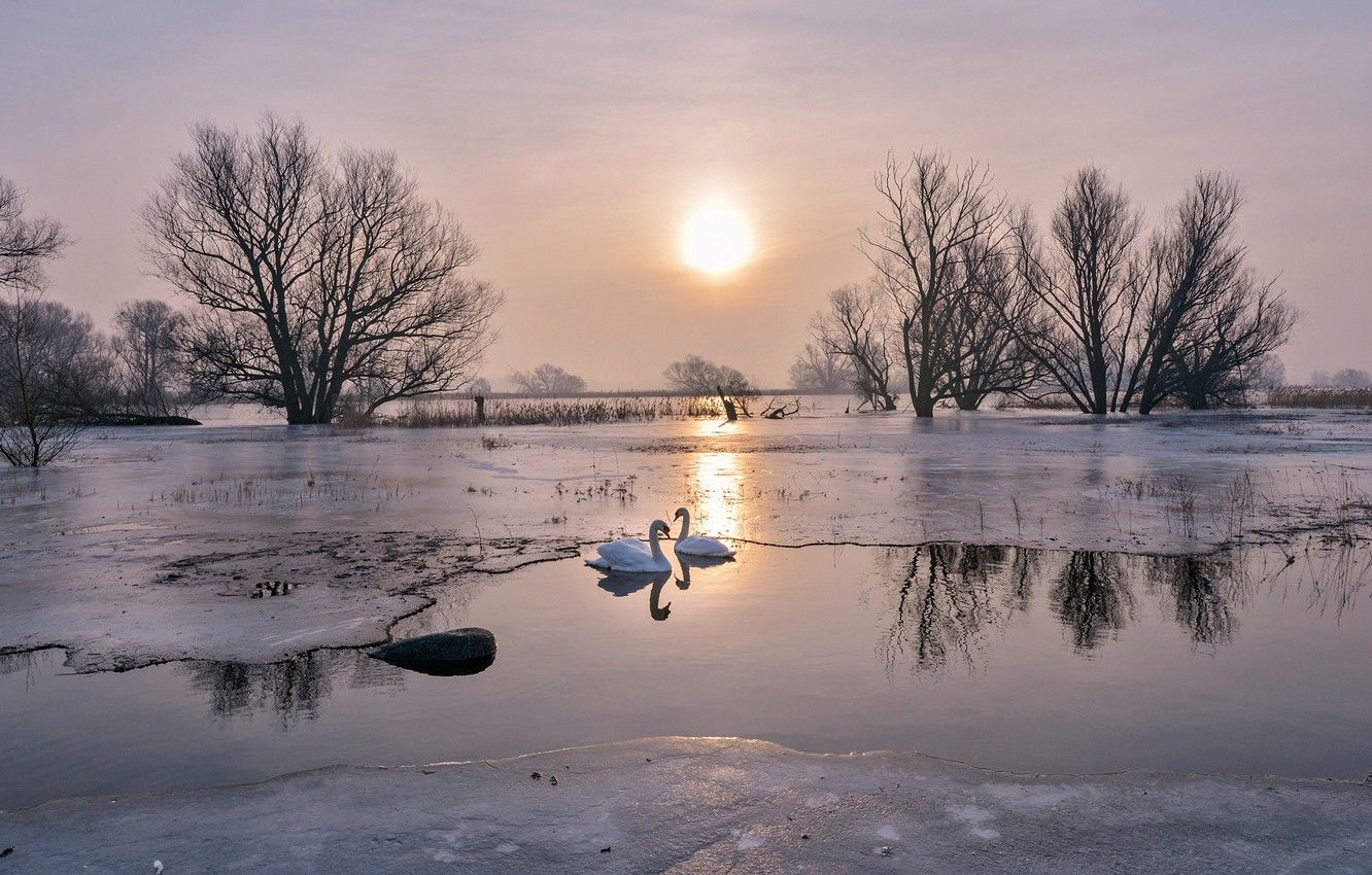 Winter Pond Wallpapers - Wallpaper Cave