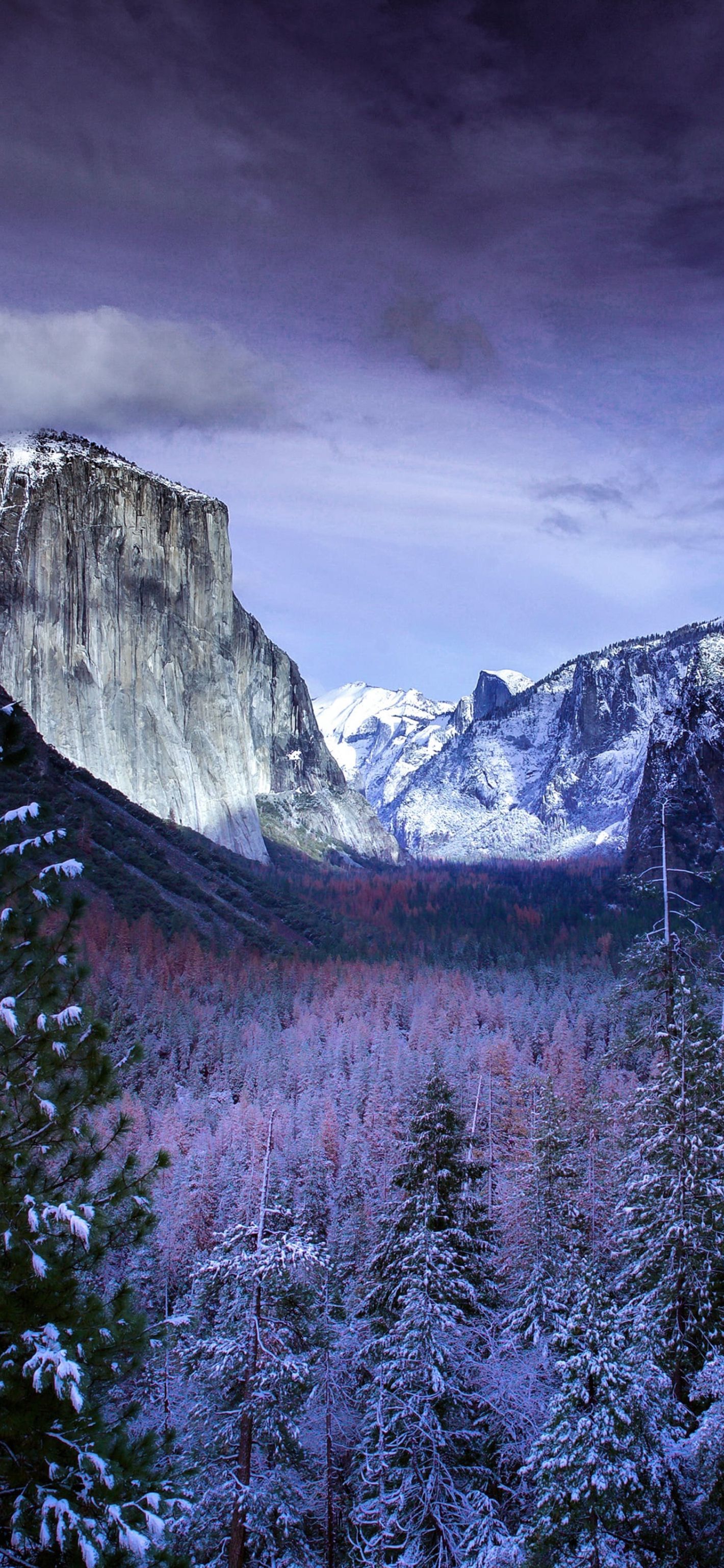 Yosemite Park in Winter