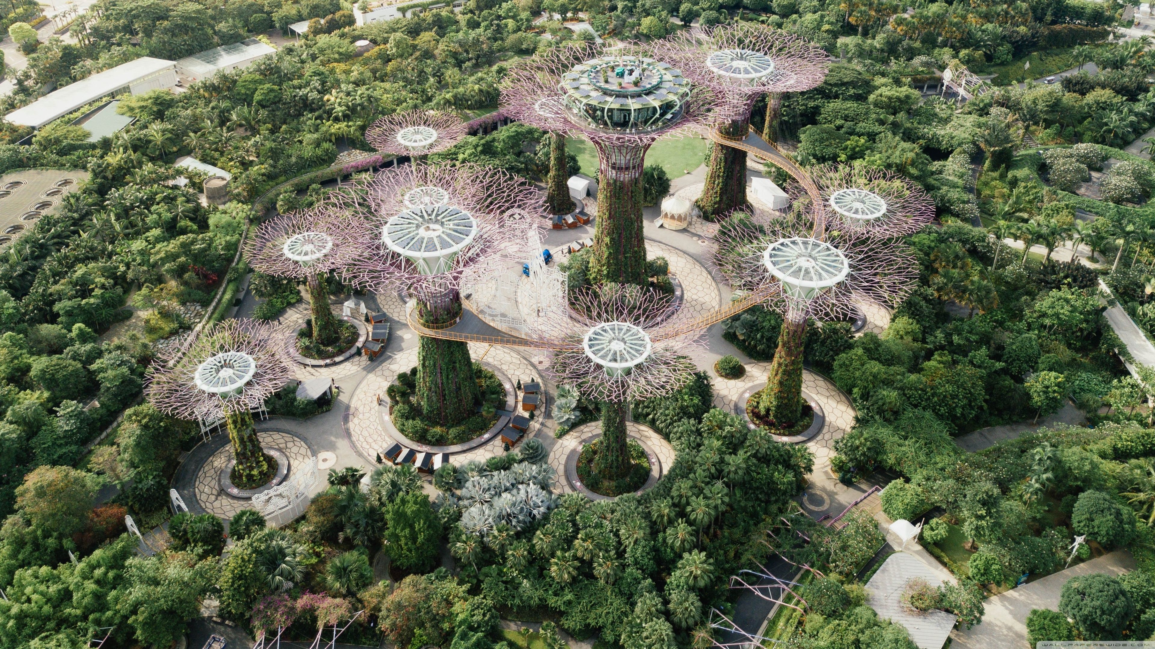 Supertrees, Gardens by the Bay, Singapore Eco City Aerial View Ultra HD Desktop Background Wallpaper for 4K UHD TV, Widescreen & UltraWide Desktop & Laptop, Tablet