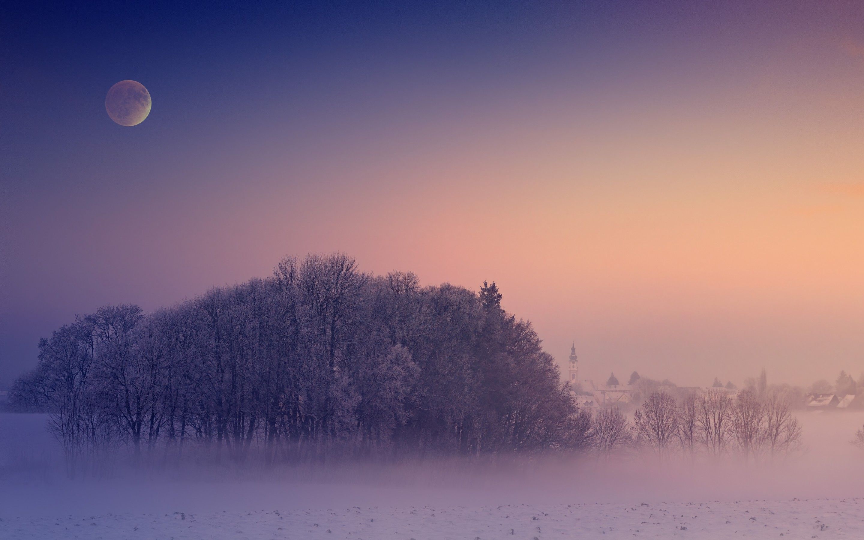 Winter 4K Wallpaper, Morning, Foggy, Moon, Landscape, Cold, 5K, Nature