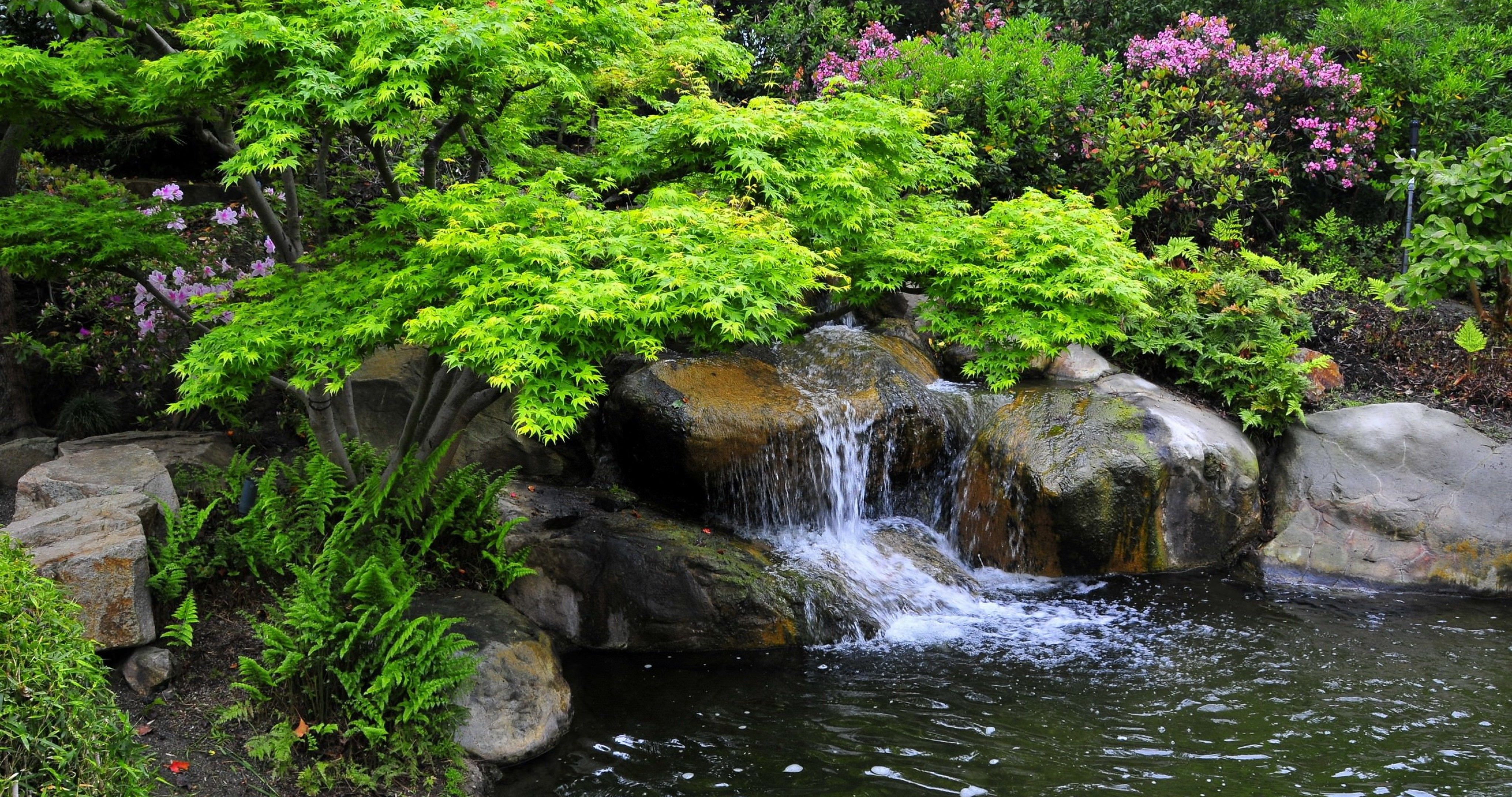 california miller japanese garden 4k ultra HD wallpaper. Pool water features, Pool waterfall landscaping, Pool waterfall