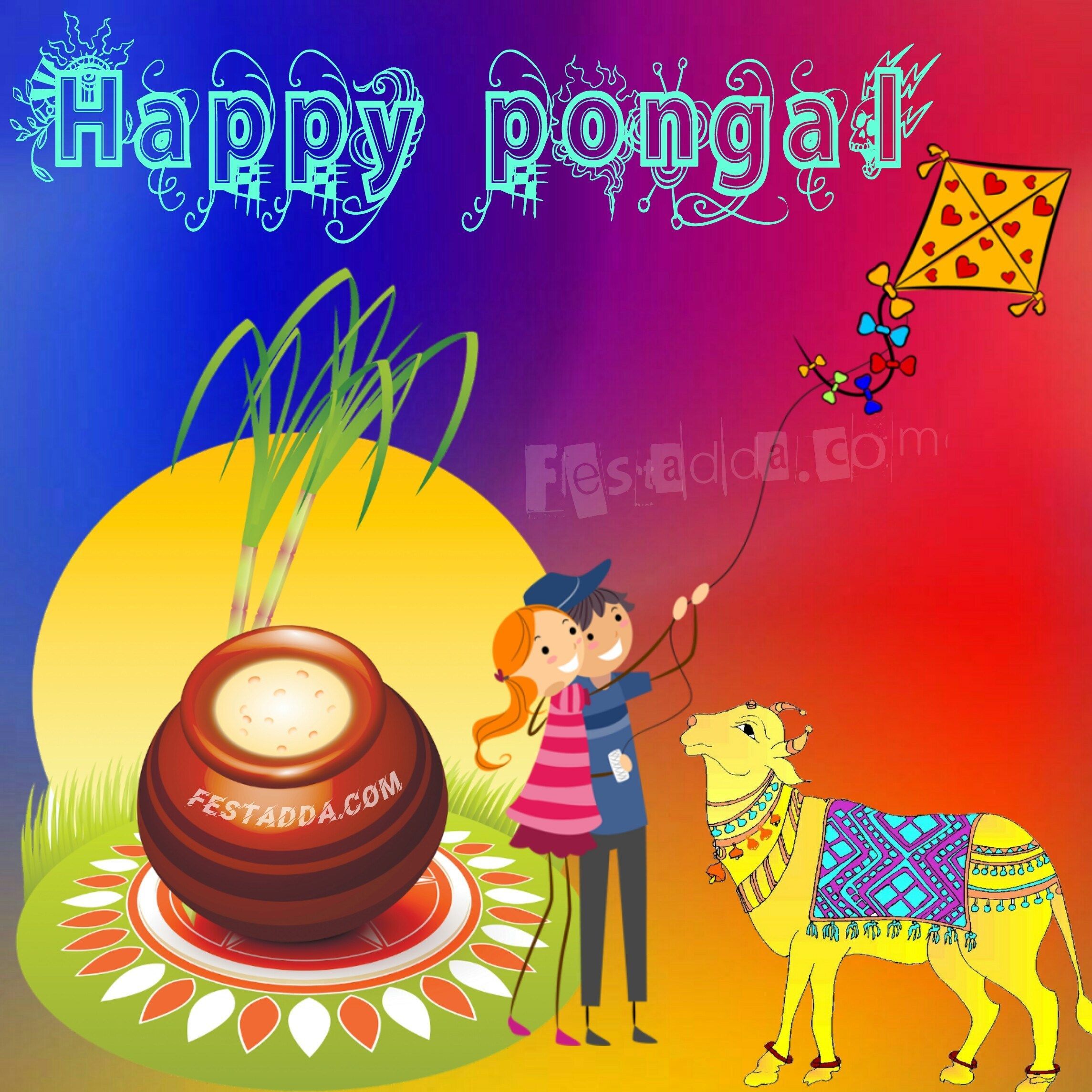 Happy Mattu Pongal Image. Happy pongal wishes, Happy pongal, Wishes image