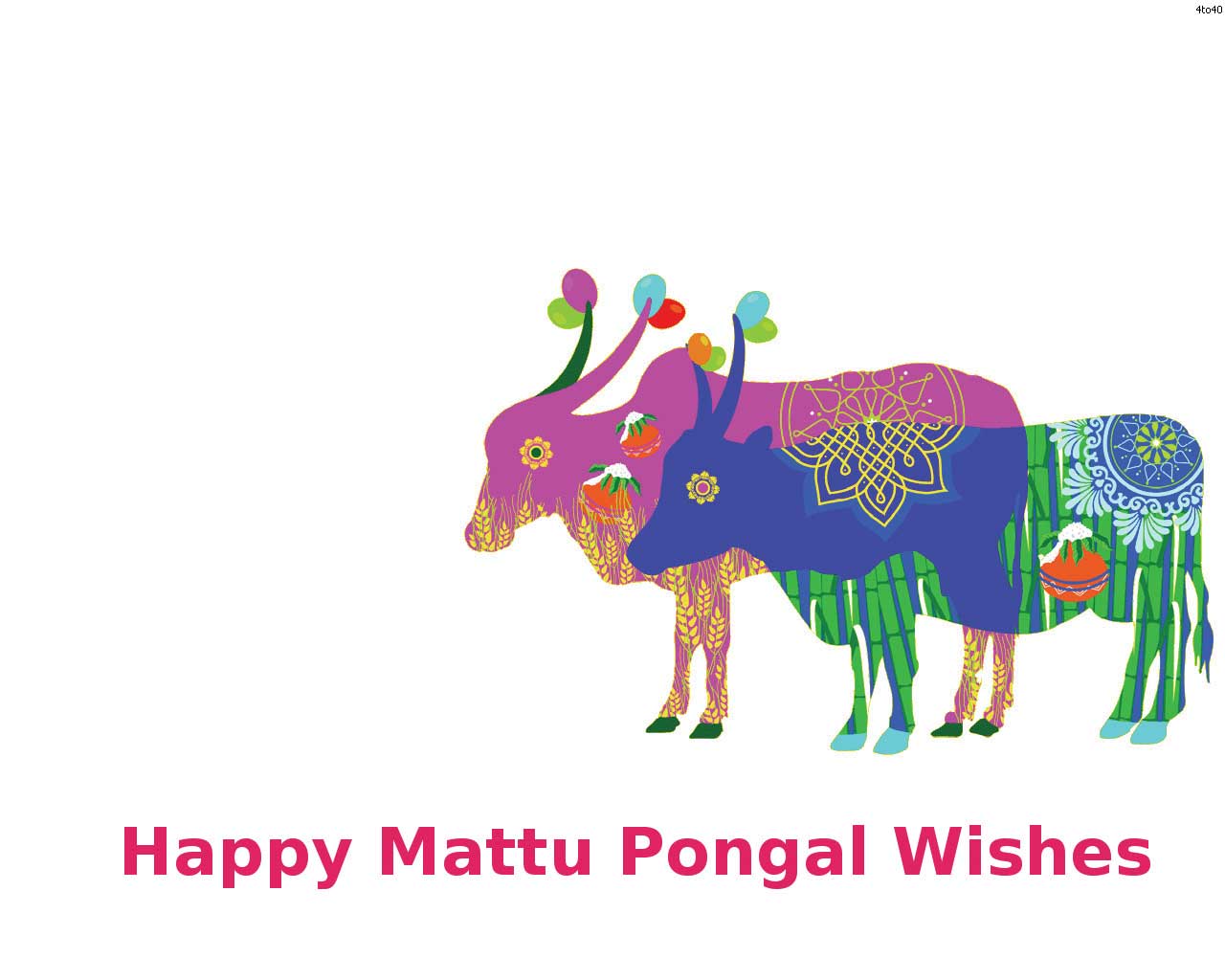 Simple And Latest Collections Of Mattu Pongal Wishes, greeting Mattu Pongal 2019 Wallpaper & Background Download