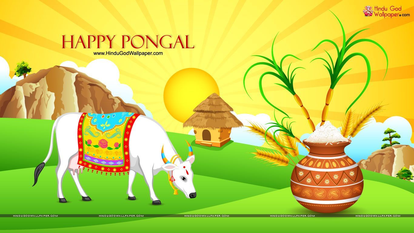 Pongal. Happy pongal, Happy pongal wishes, Sankranthi wishes