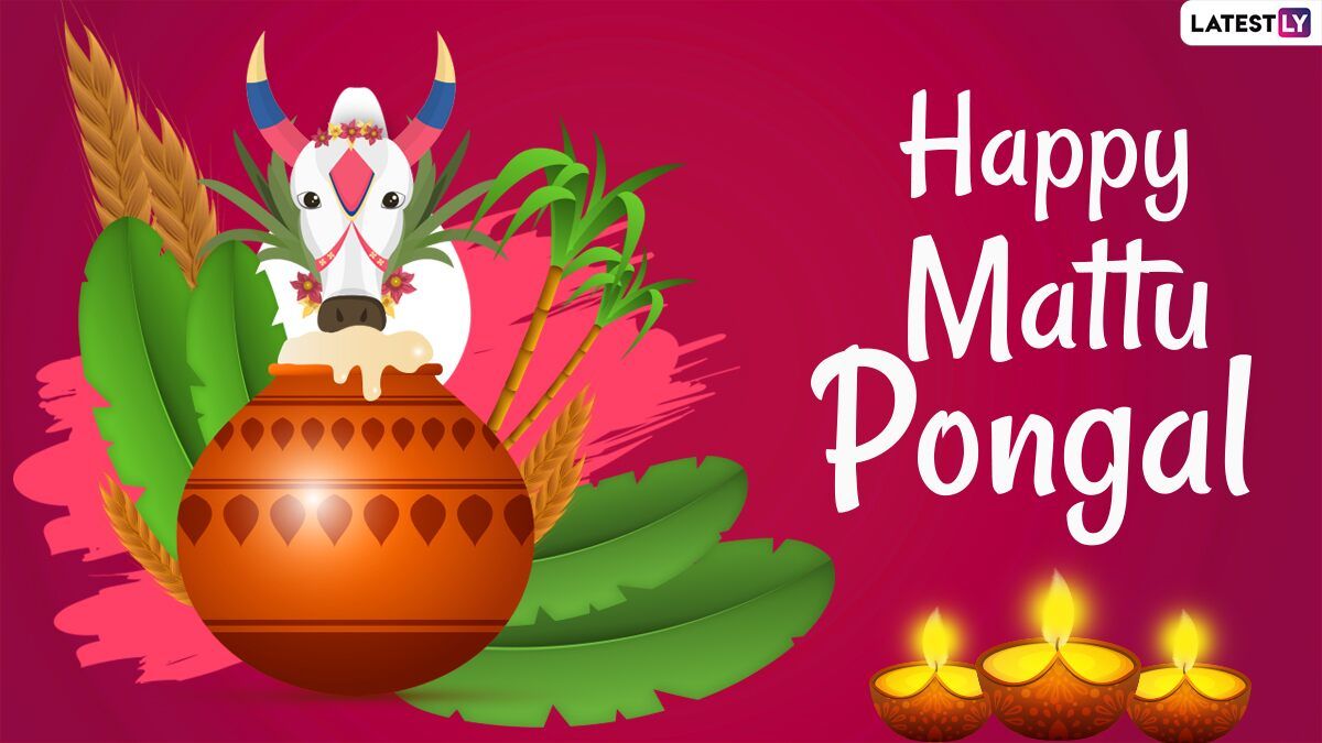 Mattu Pongal 2021 Wishes, Quotes & Greetings: Share Thai Pongal Messages, HD Image, Facebook Pics and GIFs on the Third Day of the Harvest Festival