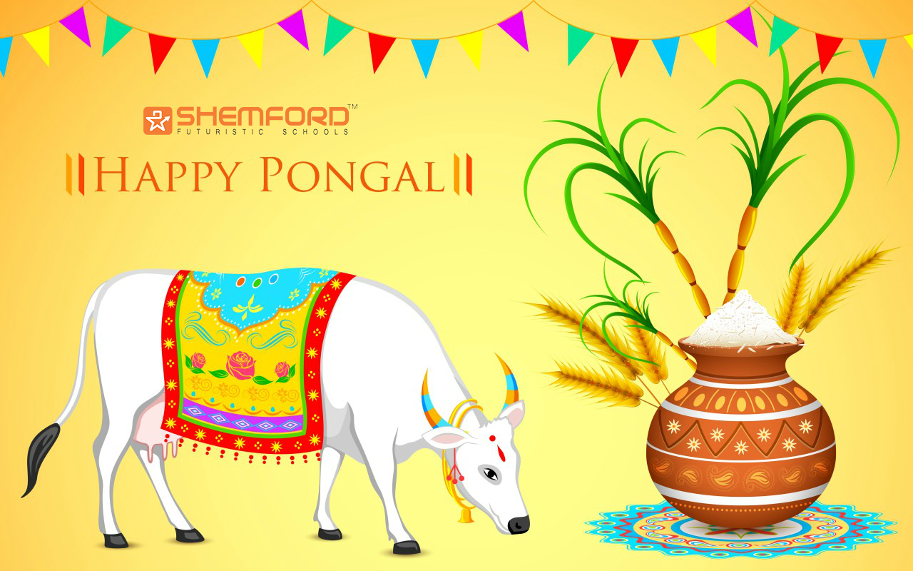 Pongal Festival is most important festival for Tamil people. Pongal is a four days festival celebrated in Tamil Na. Happy pongal, Pongal image, Sankranthi wishes