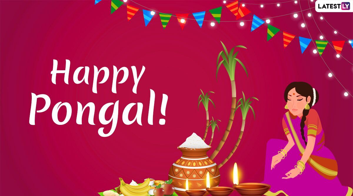 Happy Pongal 2020 Greetings & Image: Mattu Pongal WhatsApp Stickers, Hike GIF Messages, SMS and Quotes to Celebrate Tamil Nadu Harvest Festival