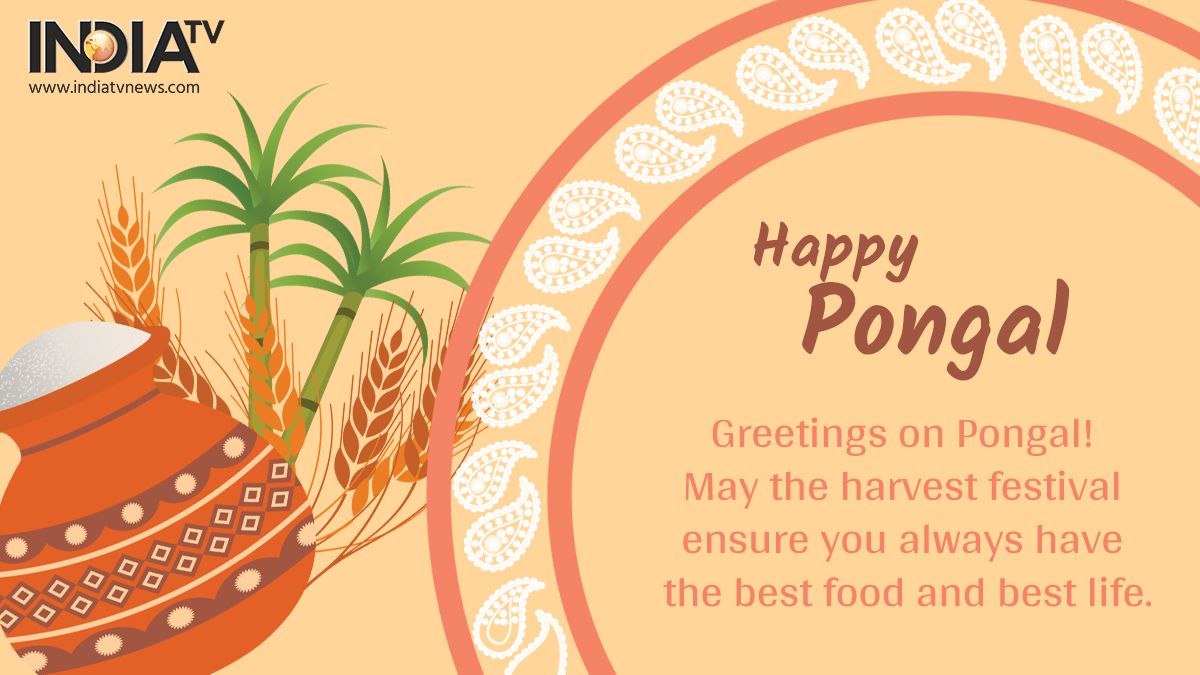 Happy Pongal 2021: Wishes, Quotes, Facebook, WhatsApp messages, Greetings, SMS, HD image and GIFs