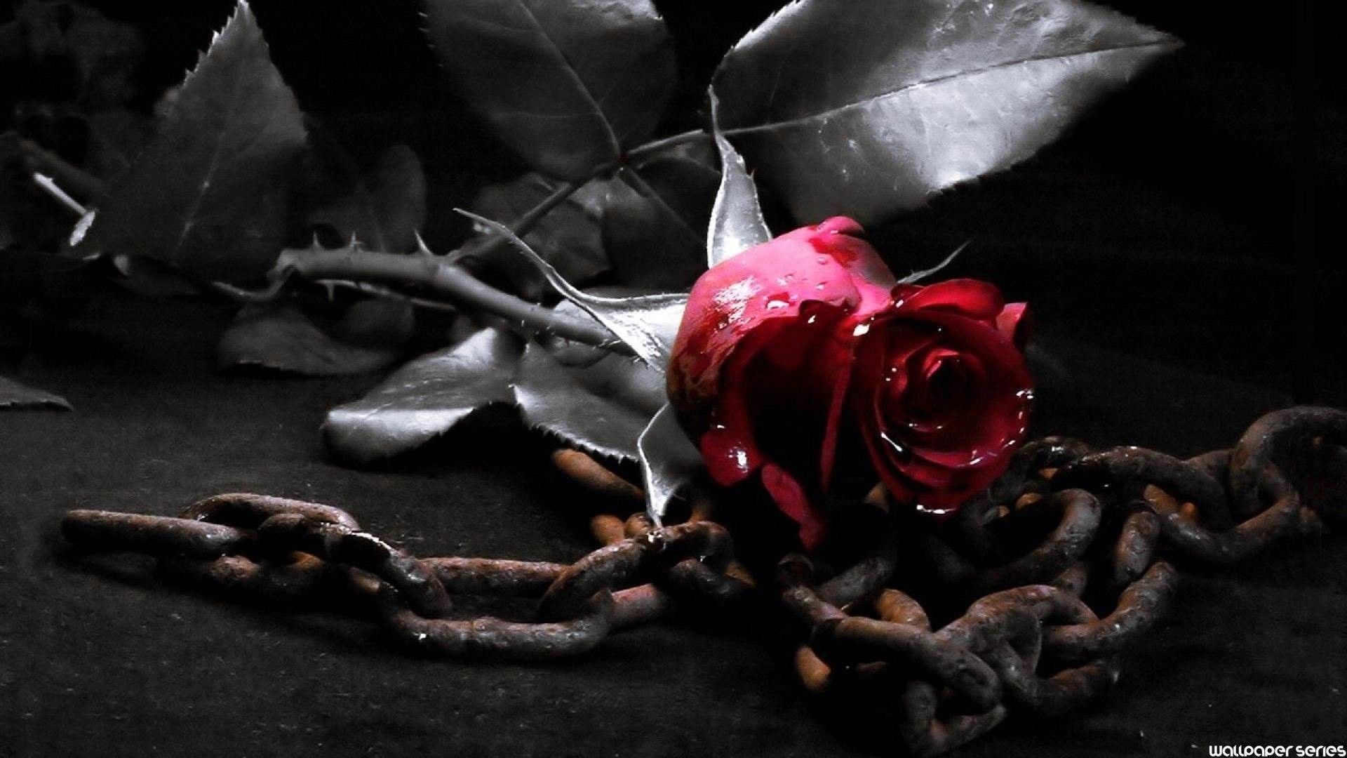 Gothic Roses Wallpapers.