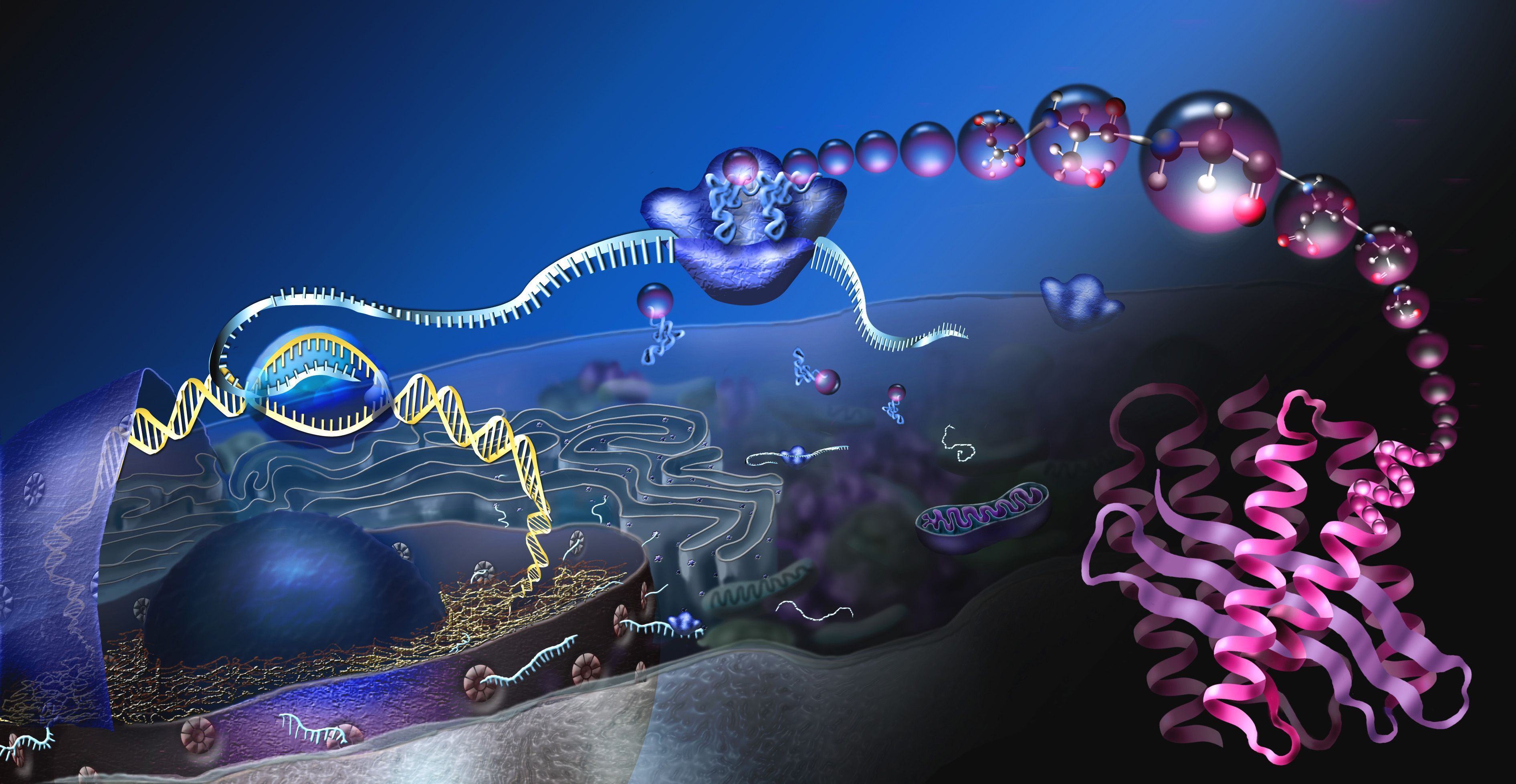 3D Biology Wallpaper Free 3D Biology Background