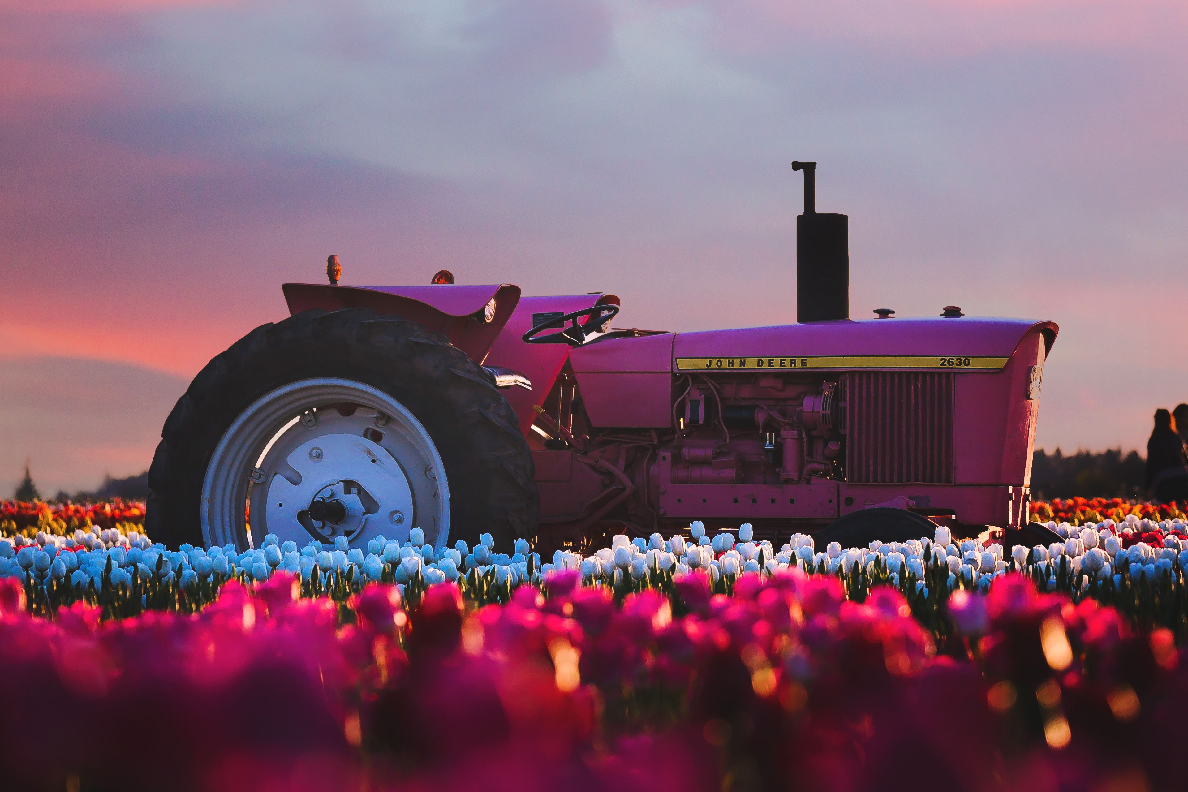 John Deere Tractor In Flower Farm 4k, HD Photography, 4k Wallpaper, Image, Background, Photo and Picture