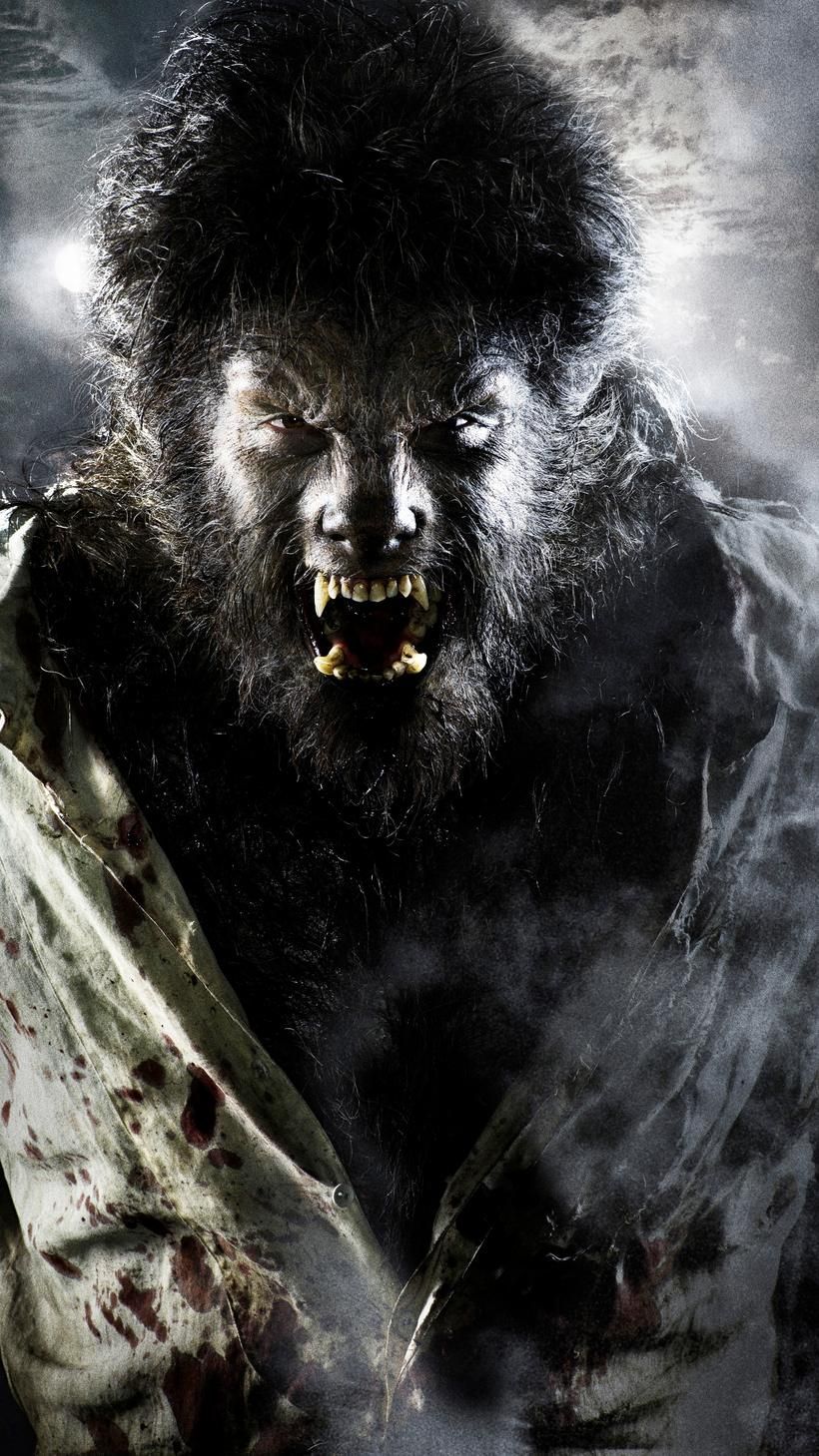 The Wolfman (2010) Phone Wallpaper. Moviemania. The wolfman Wolfman, Vampires and werewolves