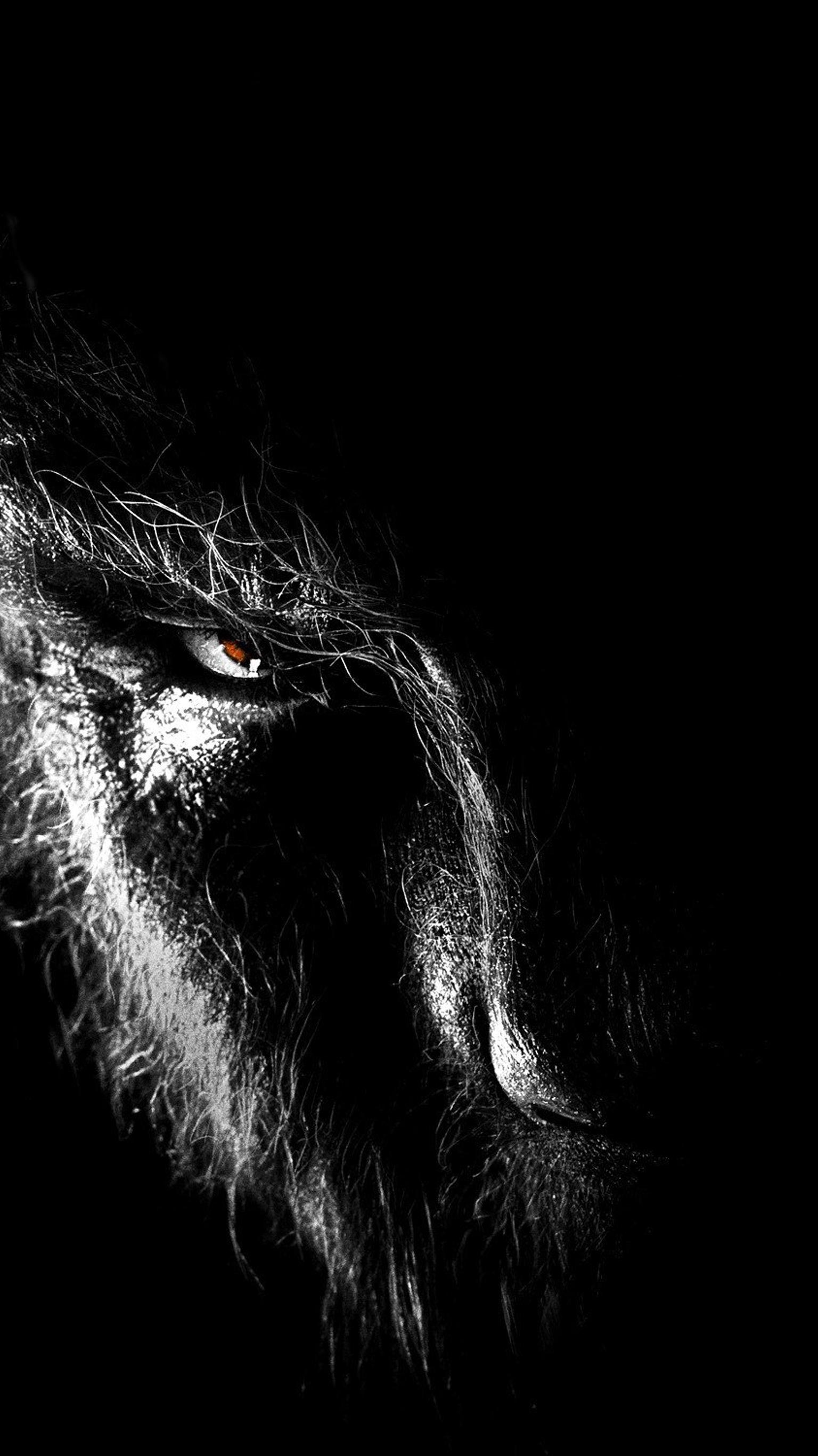 Wolfman Wallpaper Free Wolfman Background