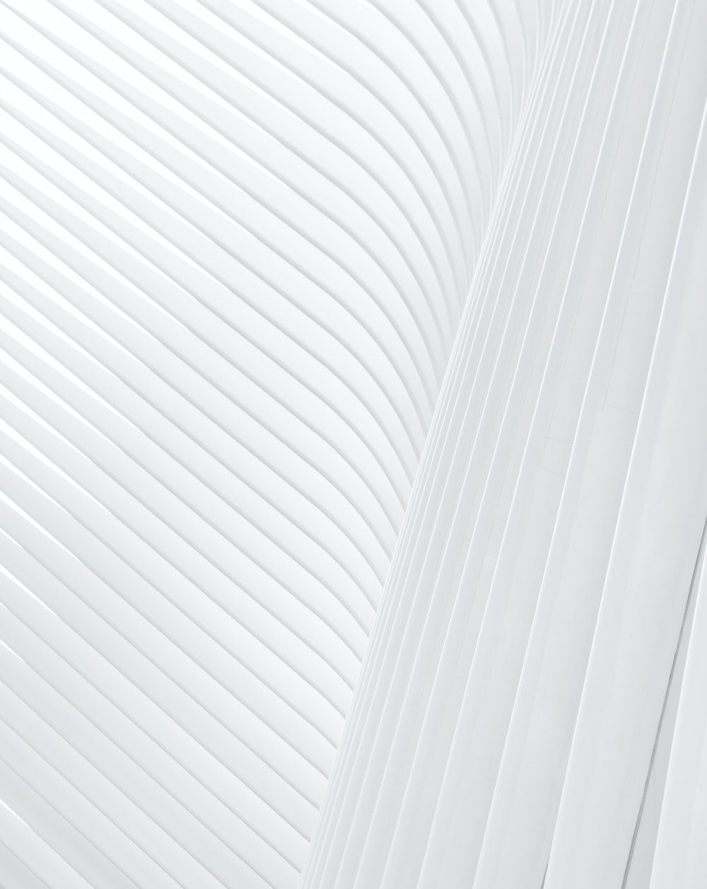 White Wallpaper: Free HD Download [HQ]