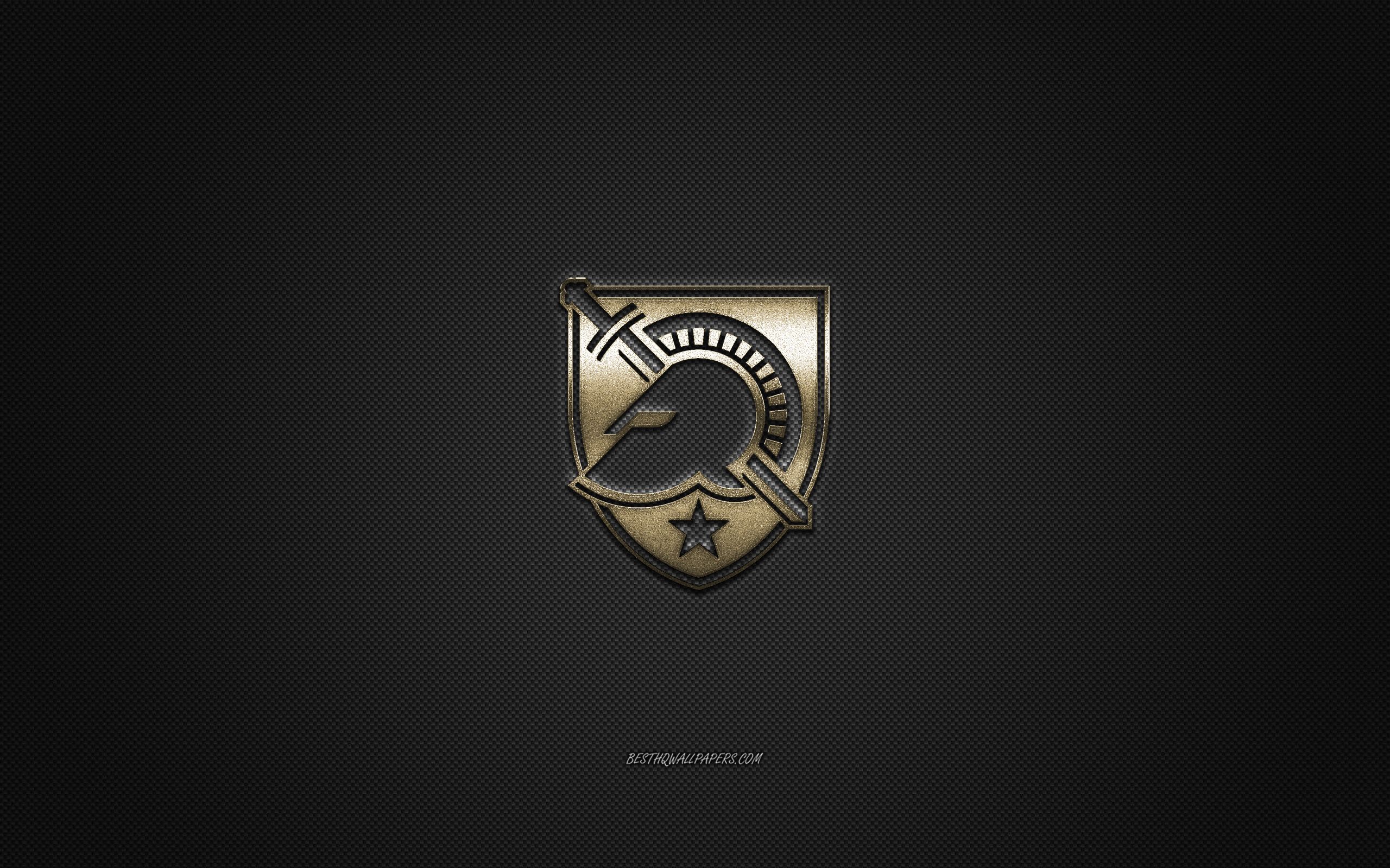 Download wallpaper Army Black Knights logo, American football club, NCAA, golden logo, gray carbon fiber background, American football, West Point, New York, USA, Army Black Knights for desktop with resolution 2560x1600. High