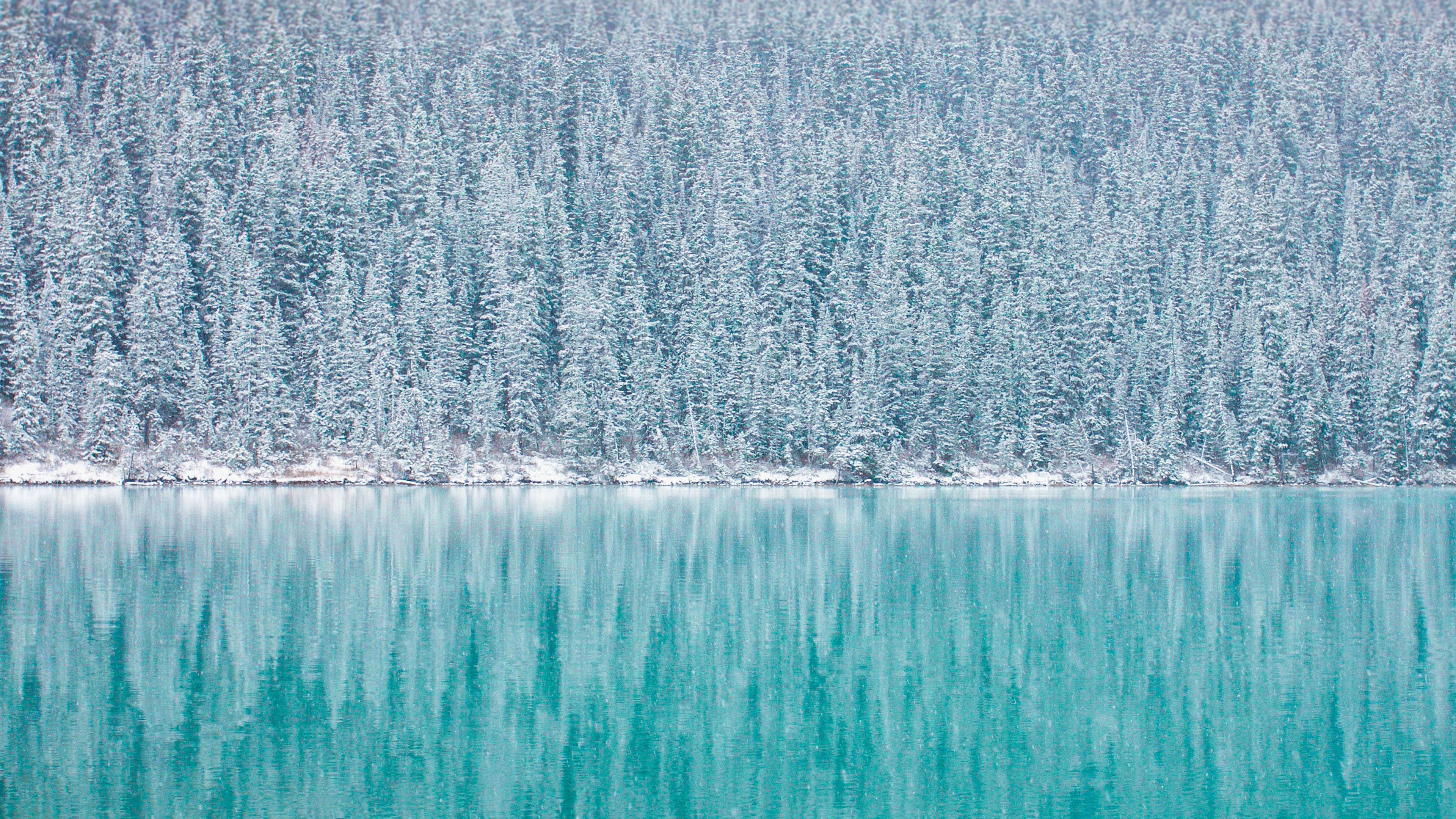 Download 3840x2160 wallpaper pine trees, winter, reflections, blue lake, 4k, uhd 16: widescreen, 3840x2160 HD image, background, 9092
