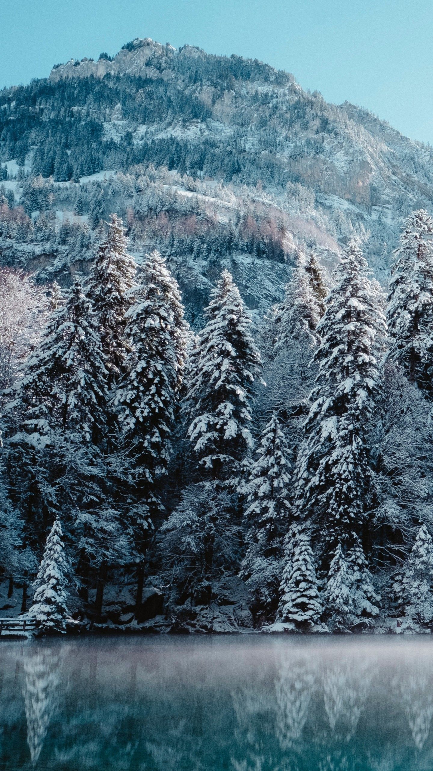 Switzerland Lake And Snow Covered Mountain And Trees Under Blue Sky During Winter 4K 5K HD Nature Wallpaper