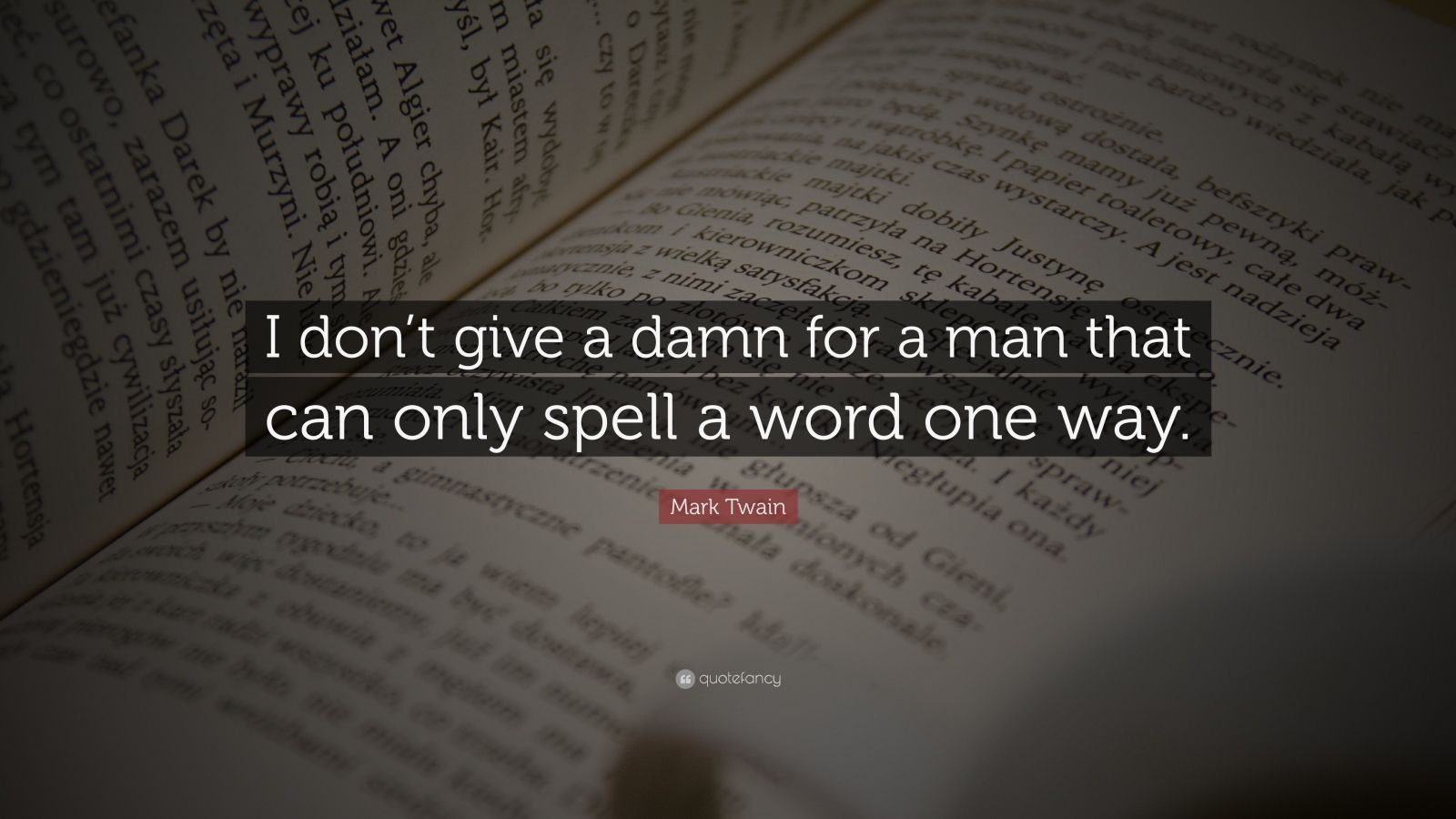 Mark Twain Quote: “I don't give a damn for a man that can only spell a word one way.” (9 wallpaper)