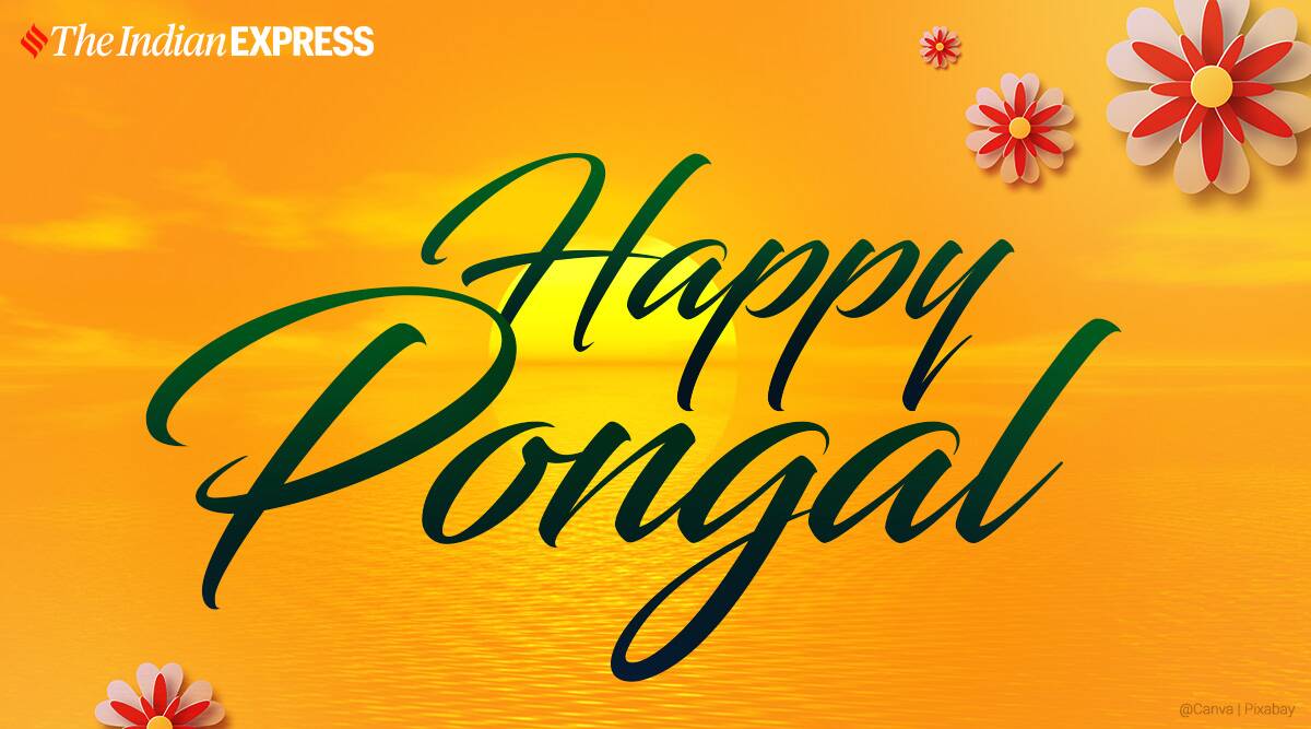 Happy Pongal Image 2022: Wishes Image, Quotes, Status, SMS, Messages, HD Wallpaper, Photo, GIF Pics, Greetings Download in Tamil, Telugu