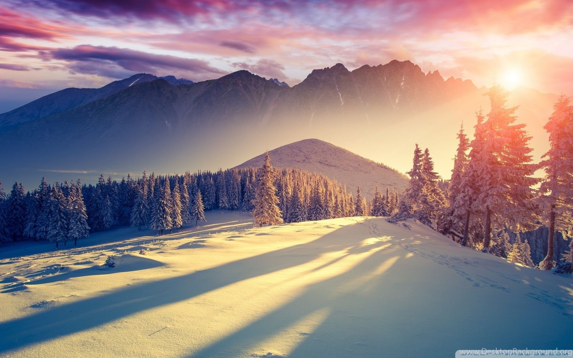 Nice And Beautiful Winter Wallpaper And Theme For Windows 10. Desktop Background