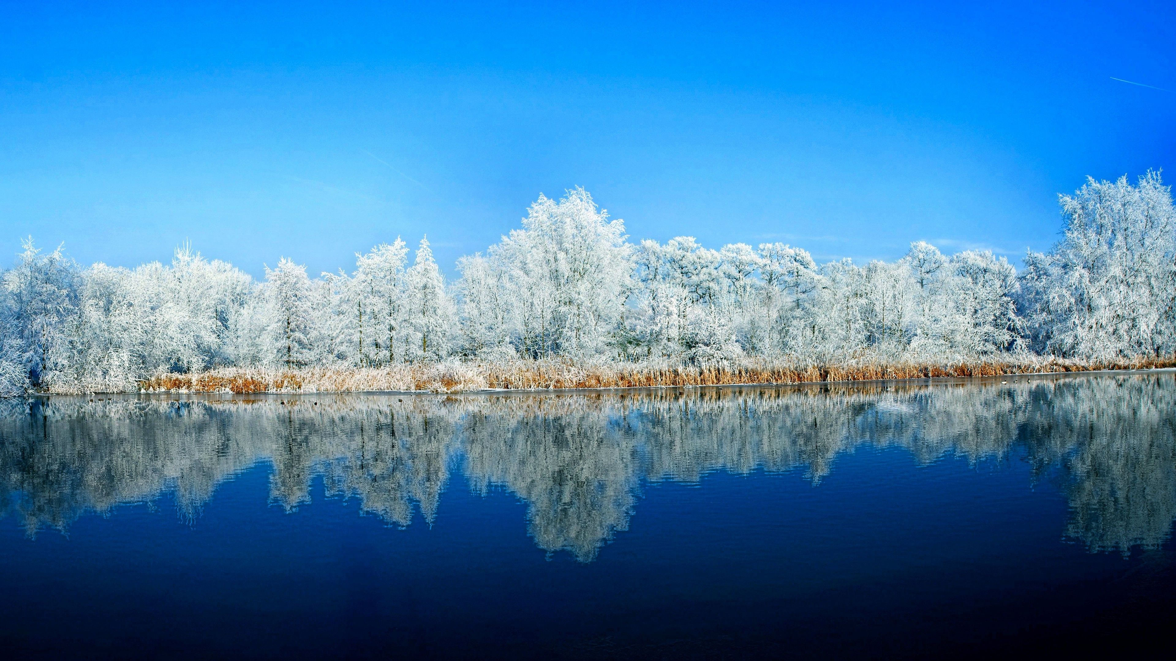 Wallpaper lake, forest, snow, winter, 5k, Nature