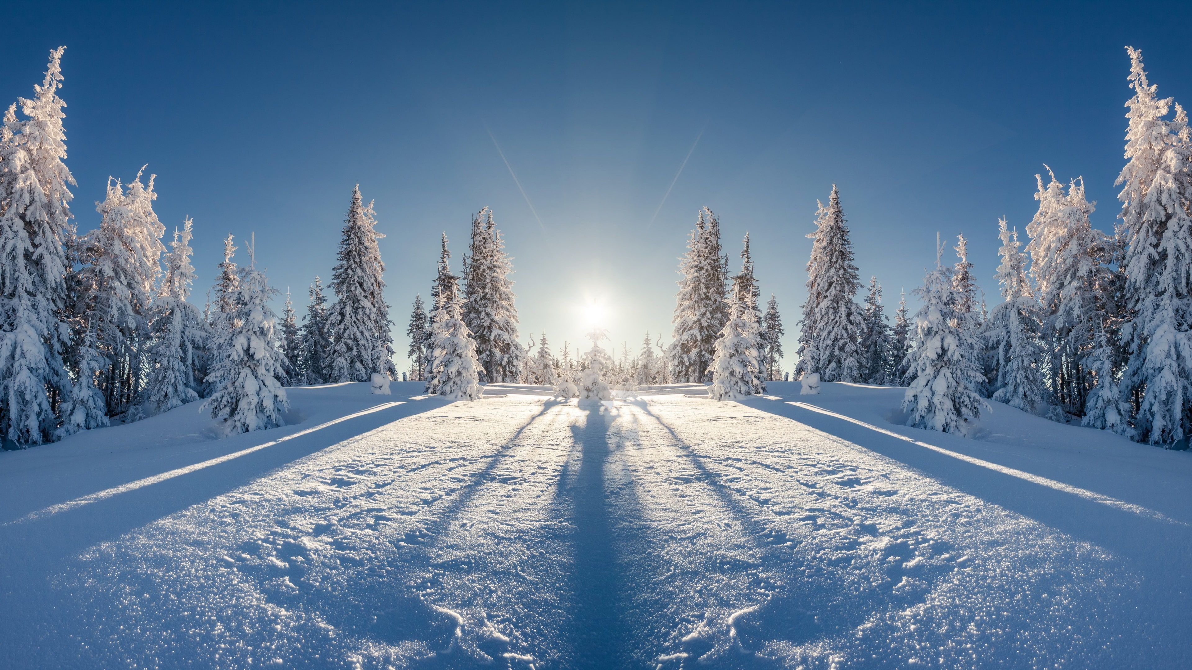 winter 4k nice picture K #wallpaper #hdwallpaper #desktop. Winter landscape, Cool picture, Landscape
