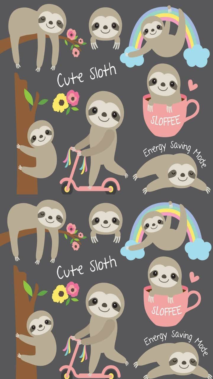 Cute Sloth Wallpaper Free Cute Sloth Background