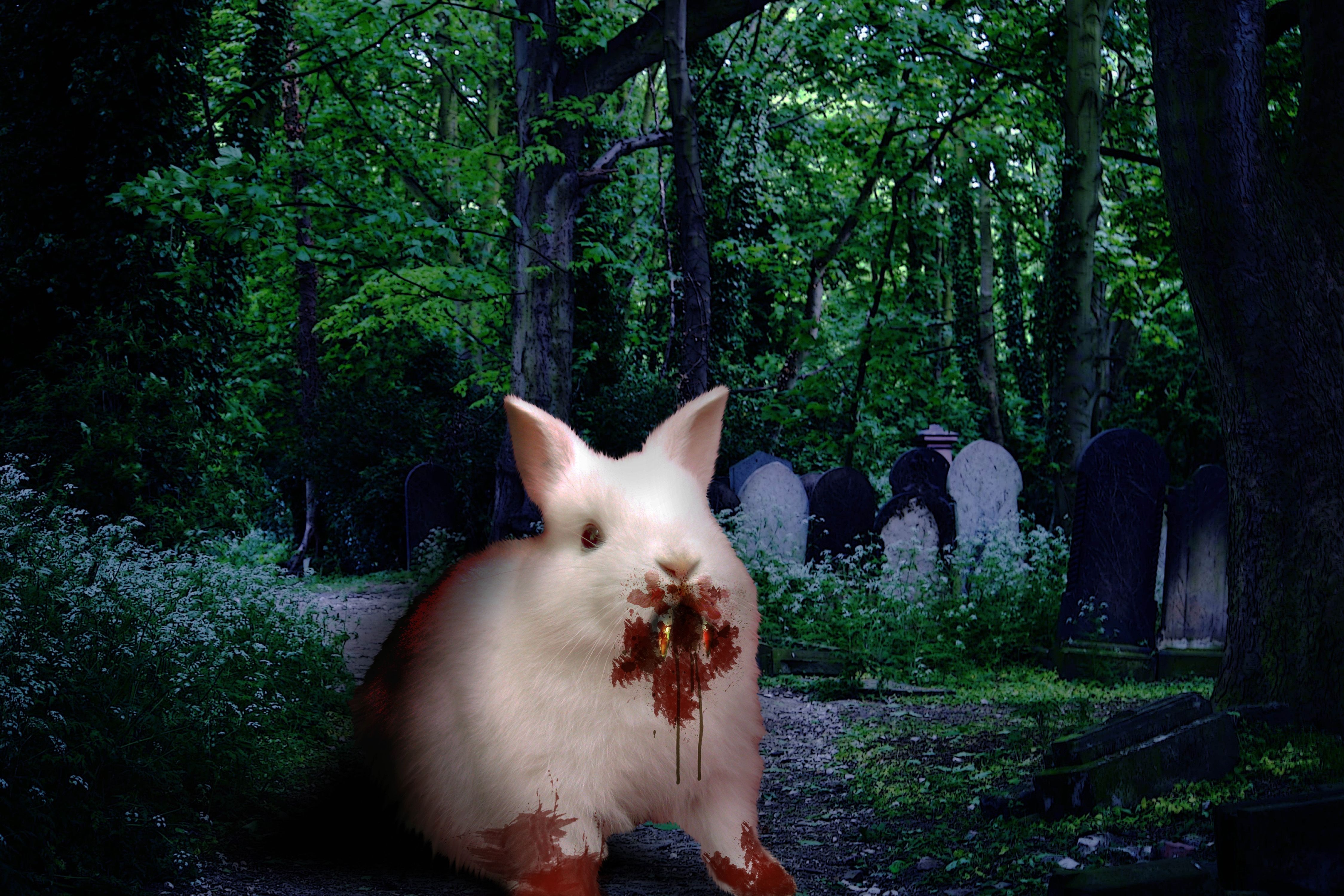 Killer Bunny picture, by kyluvlee for: demon animals photohop contest
