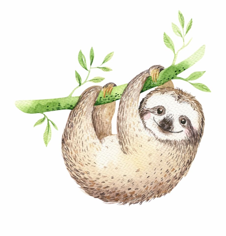 Free Sloth Transparent Background, Download Free Clip Art, Free Clip Art on Clipart Library