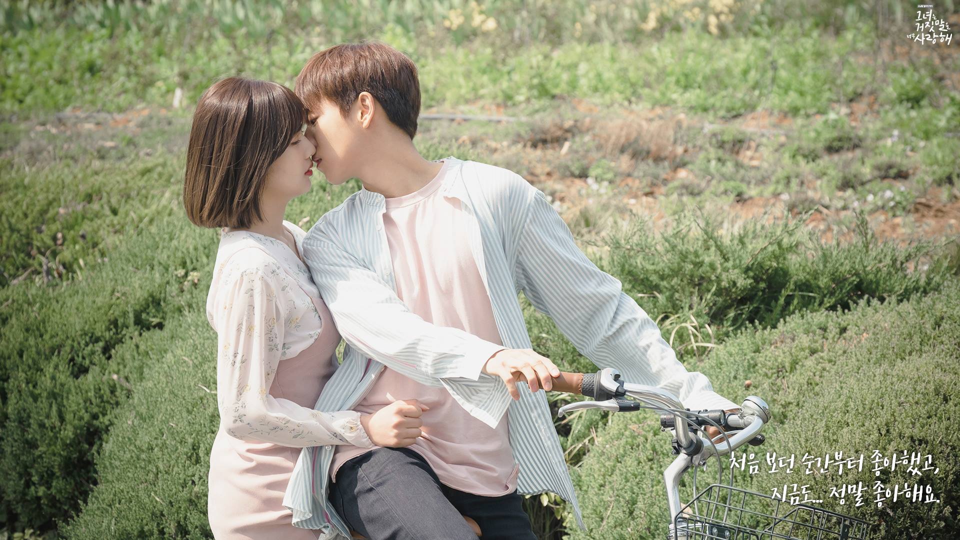 The Liar And His Lover Wallpapers Wallpaper Cave